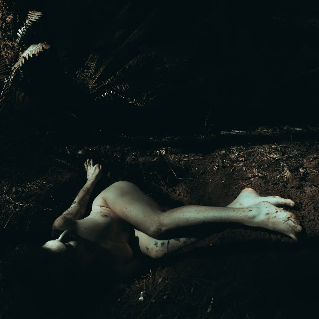 Emergence-8 (Large).JPG