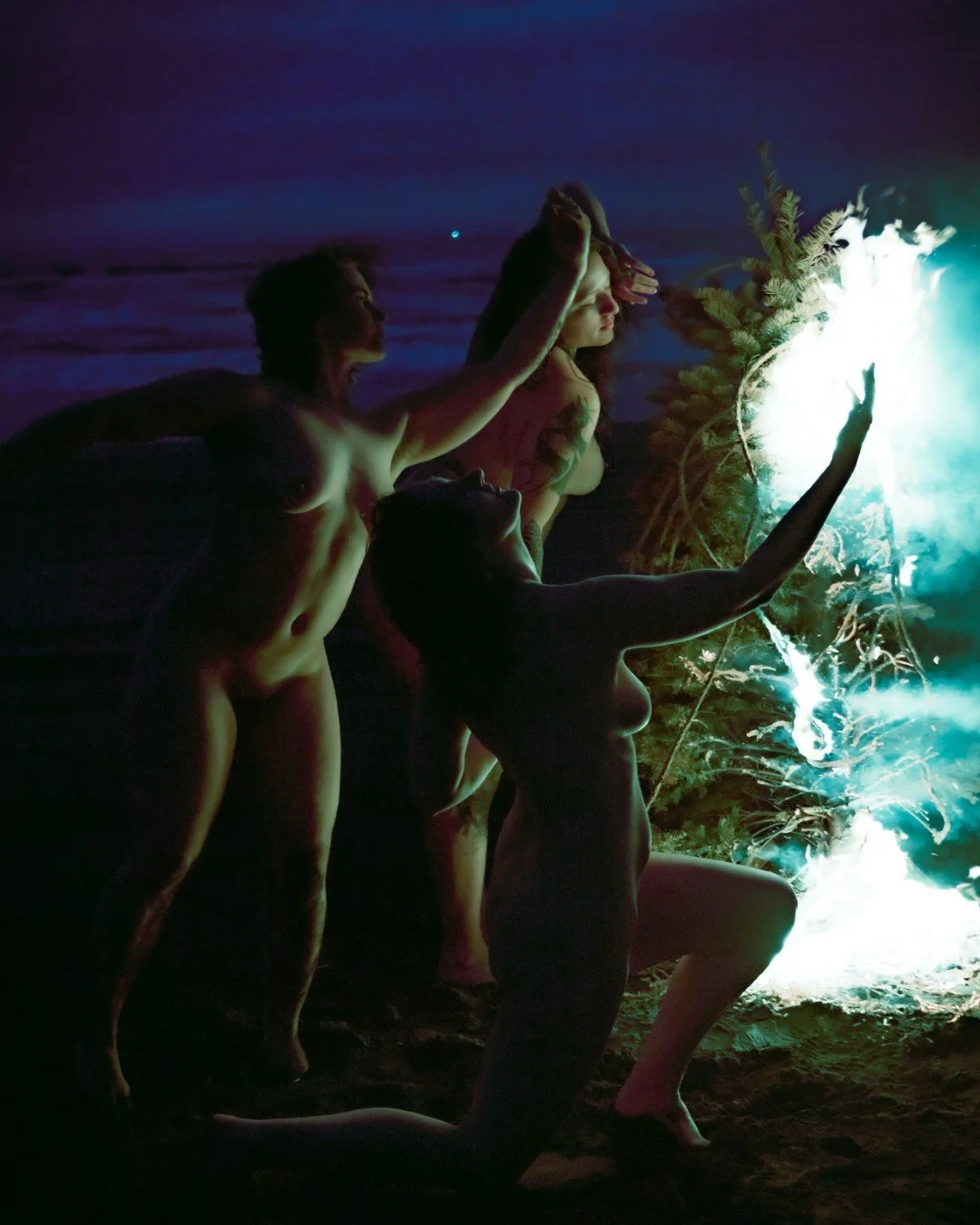 Beach Tree Fire-18 (Large).JPG