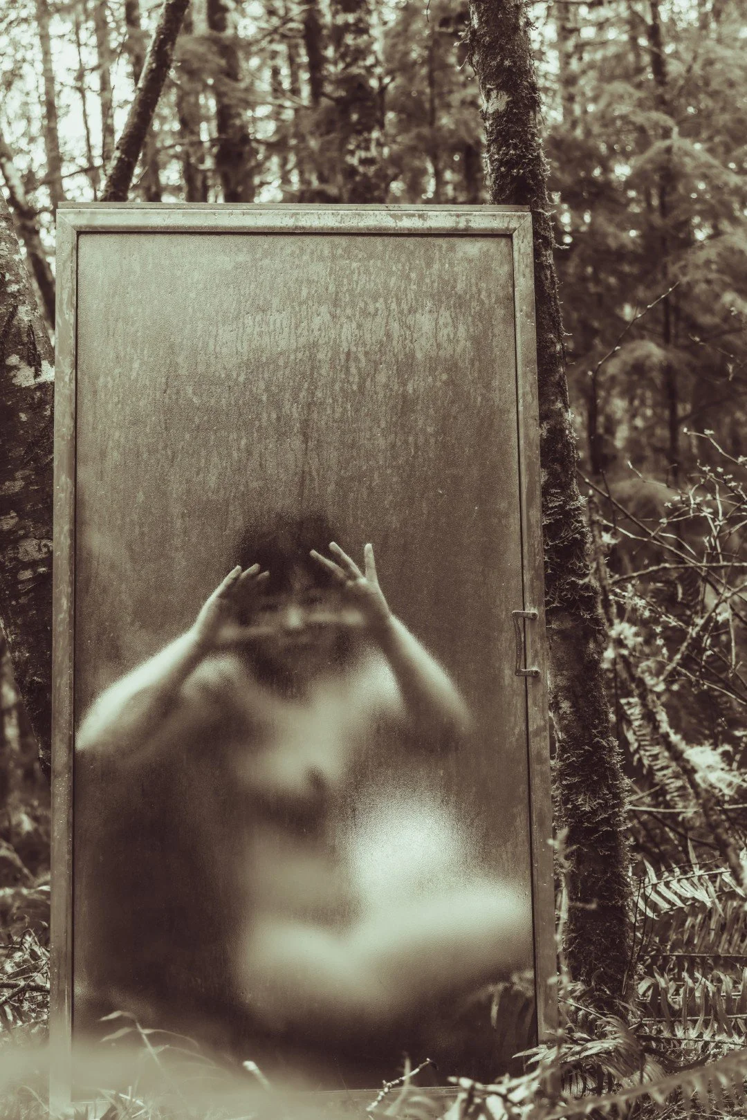 Forest Shower-17 (Large).JPG