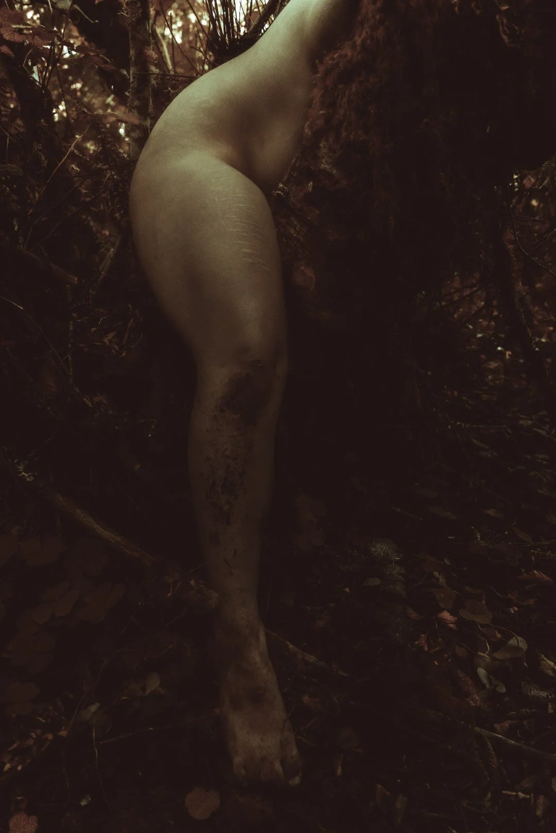 Enduring-73 (Large).JPG