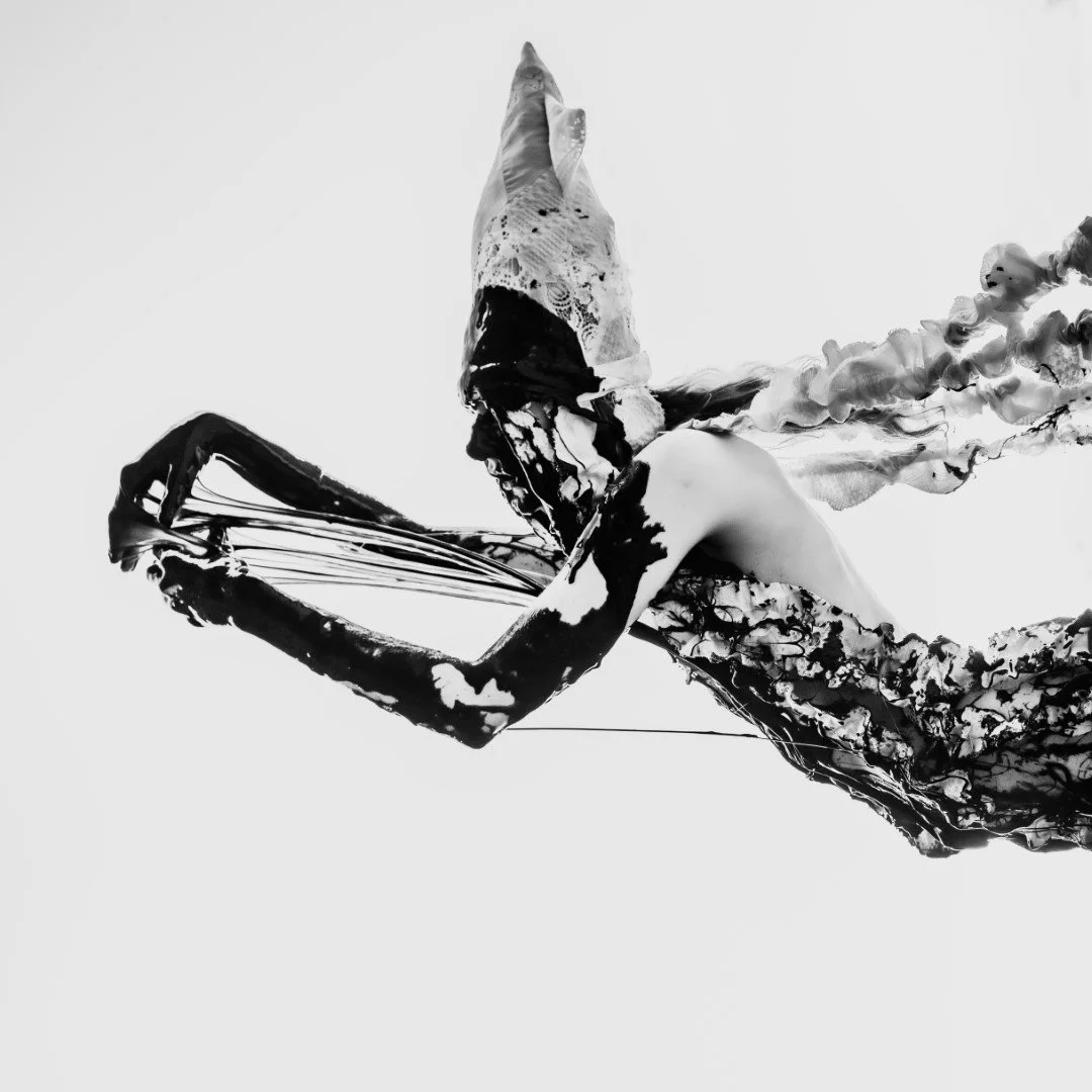 Squid beach-141 (Large).JPG