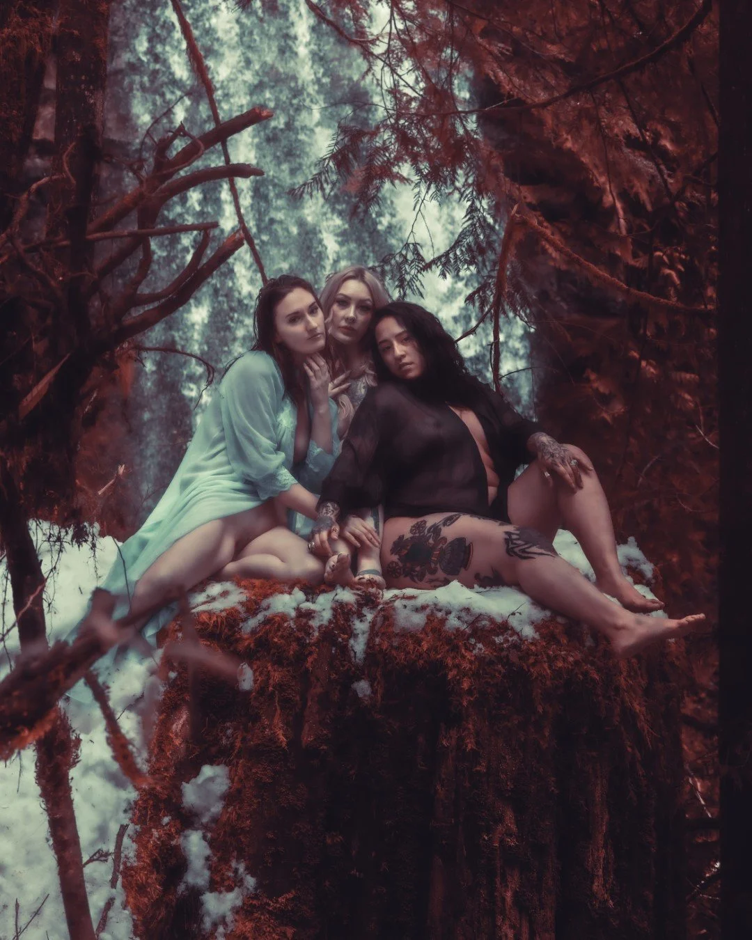 gnat falls snow-2 (Large).JPG