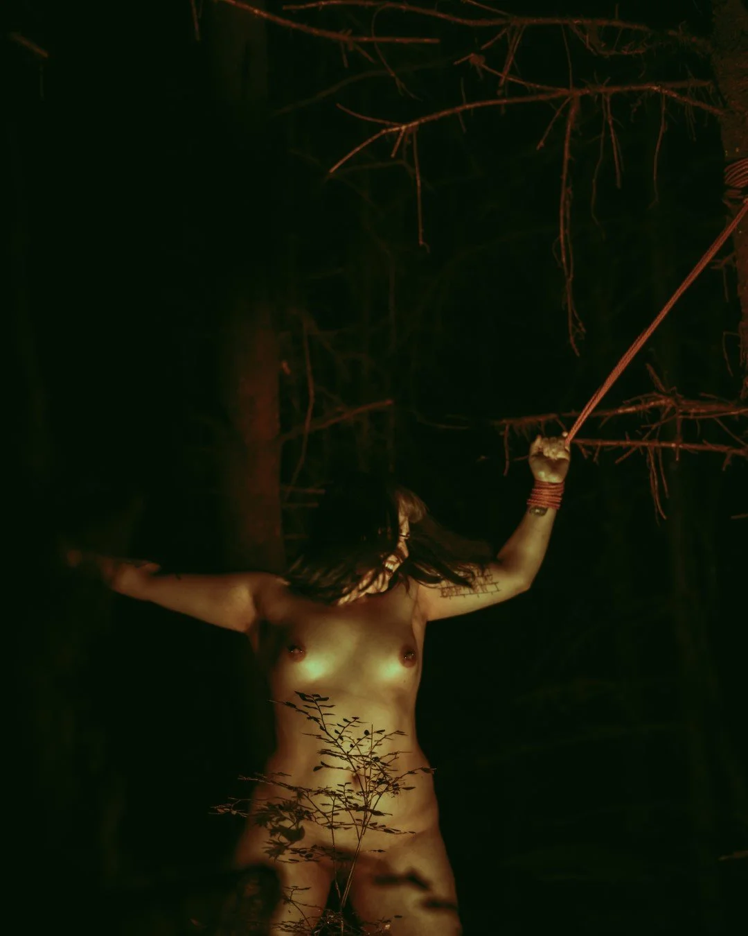 the Offering-3 (Large).JPG