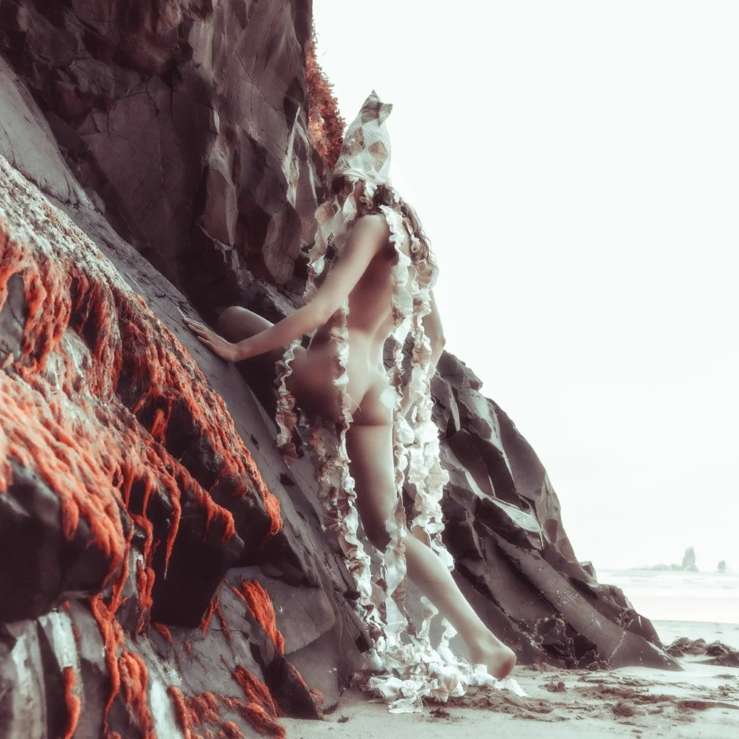 Squid beach-70 (Large).JPG