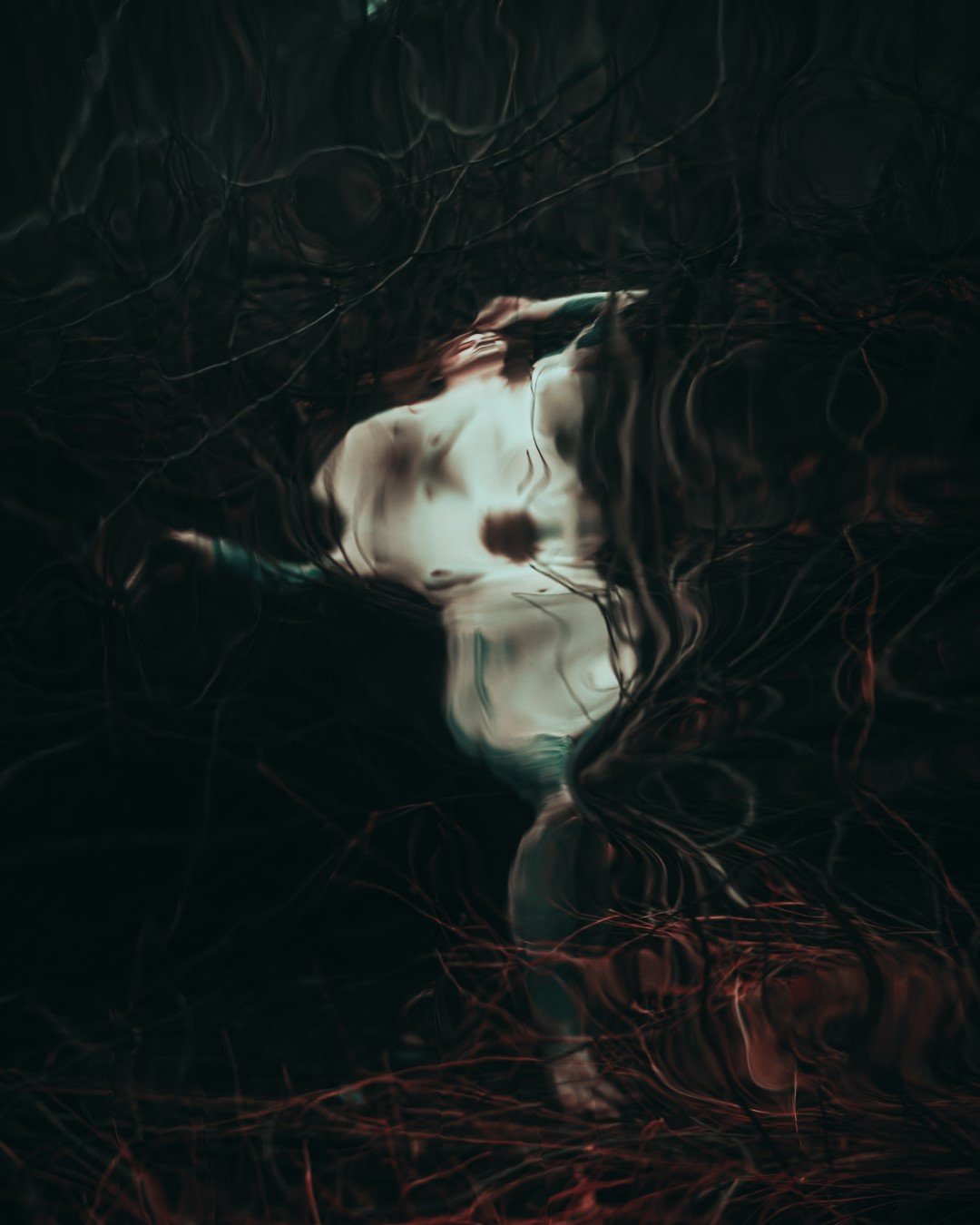 Rooster rock-58 (Large).JPG