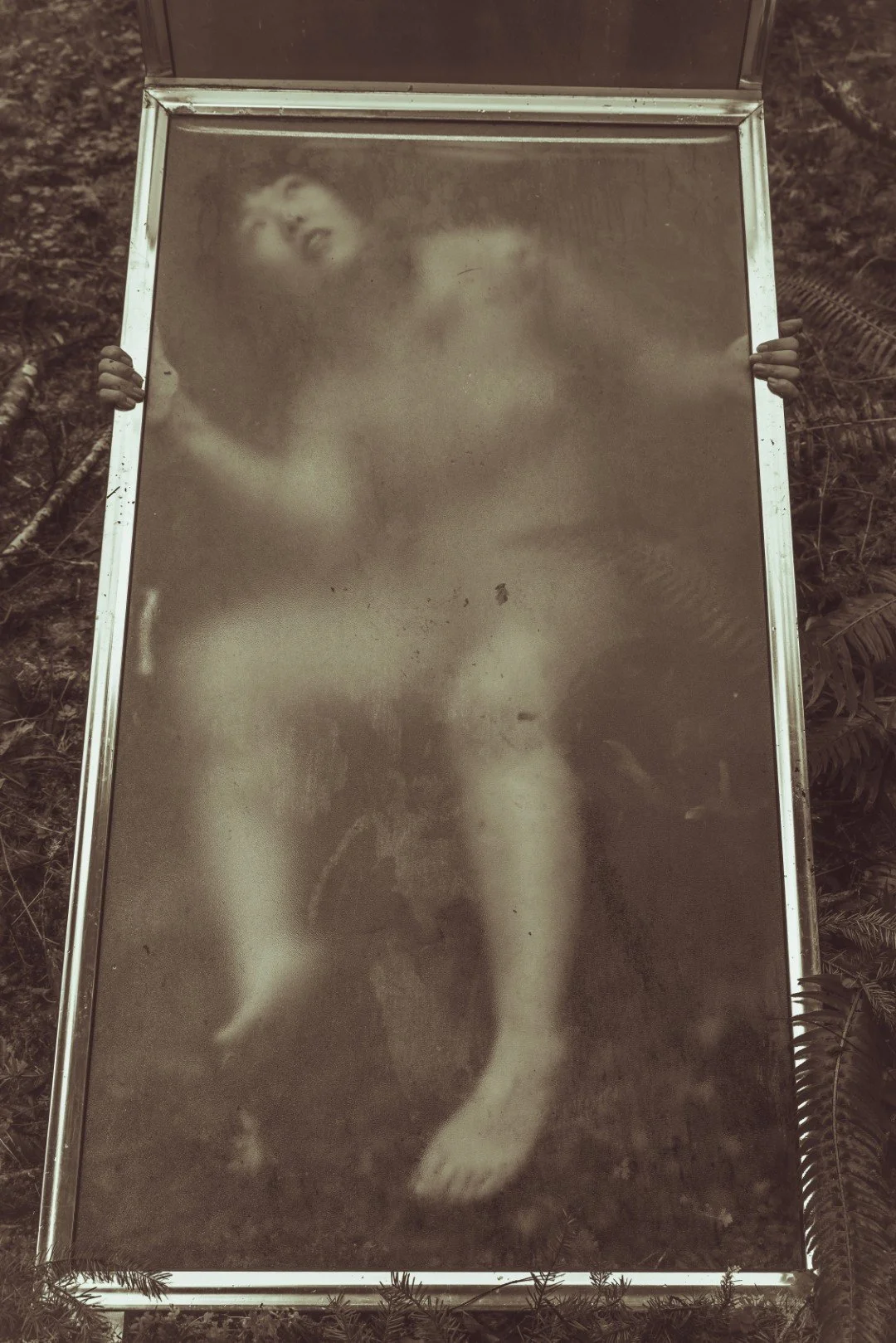 Forest Shower-50 (Large).JPG