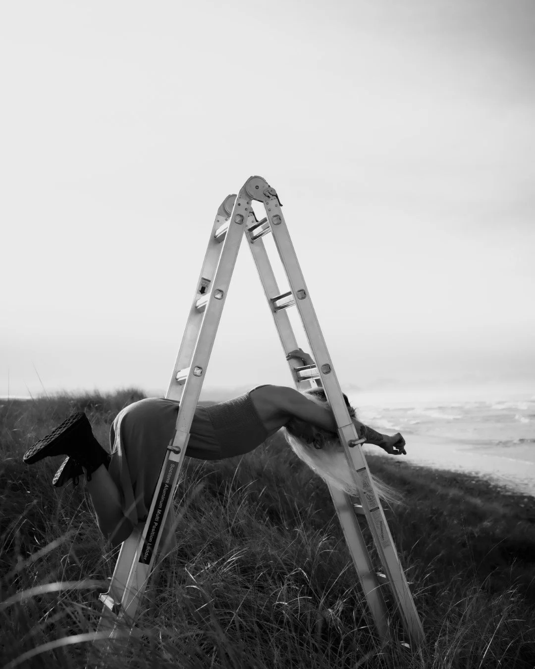 ladder-12 (Large).JPG