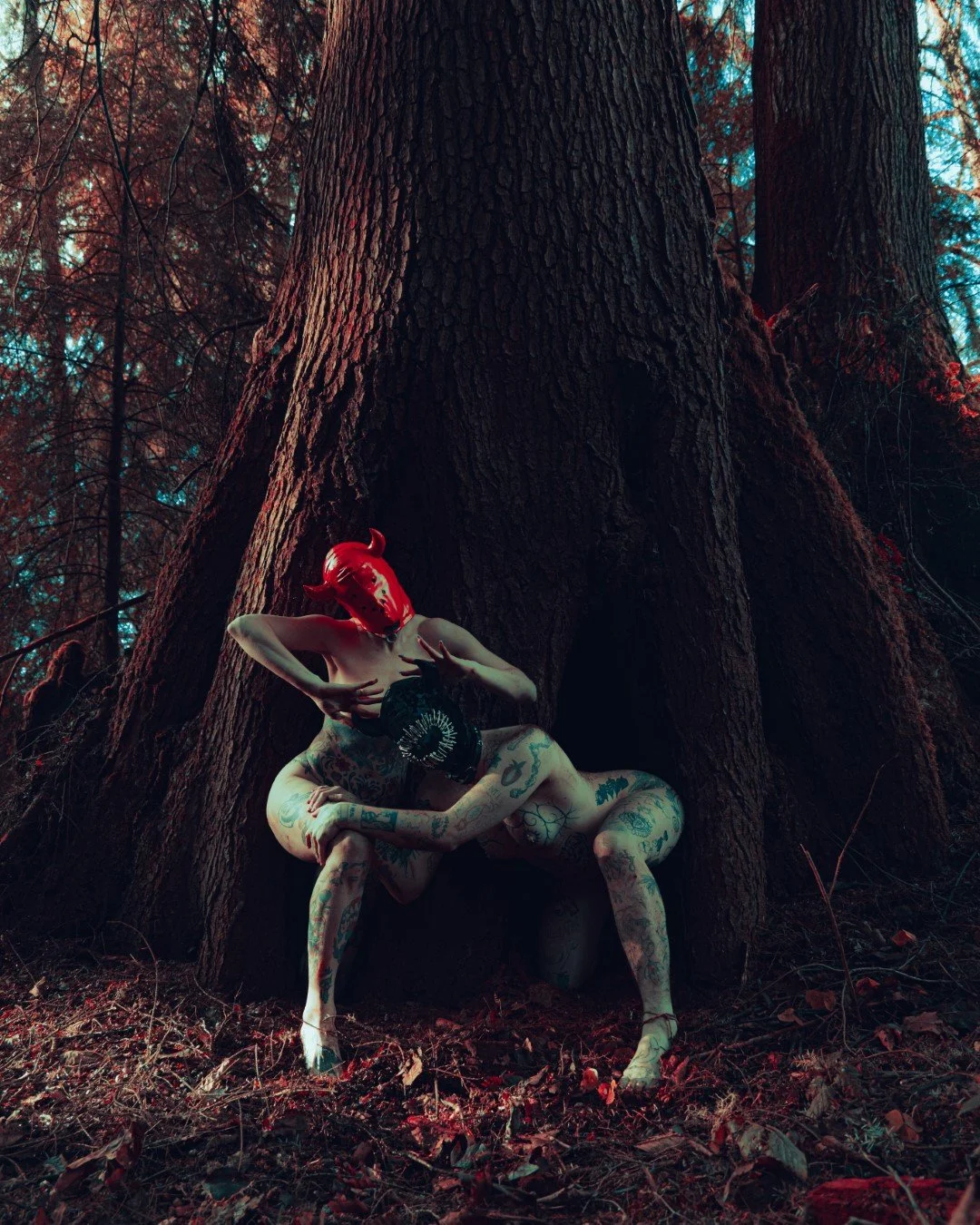 devil tree -2 (Large).JPG