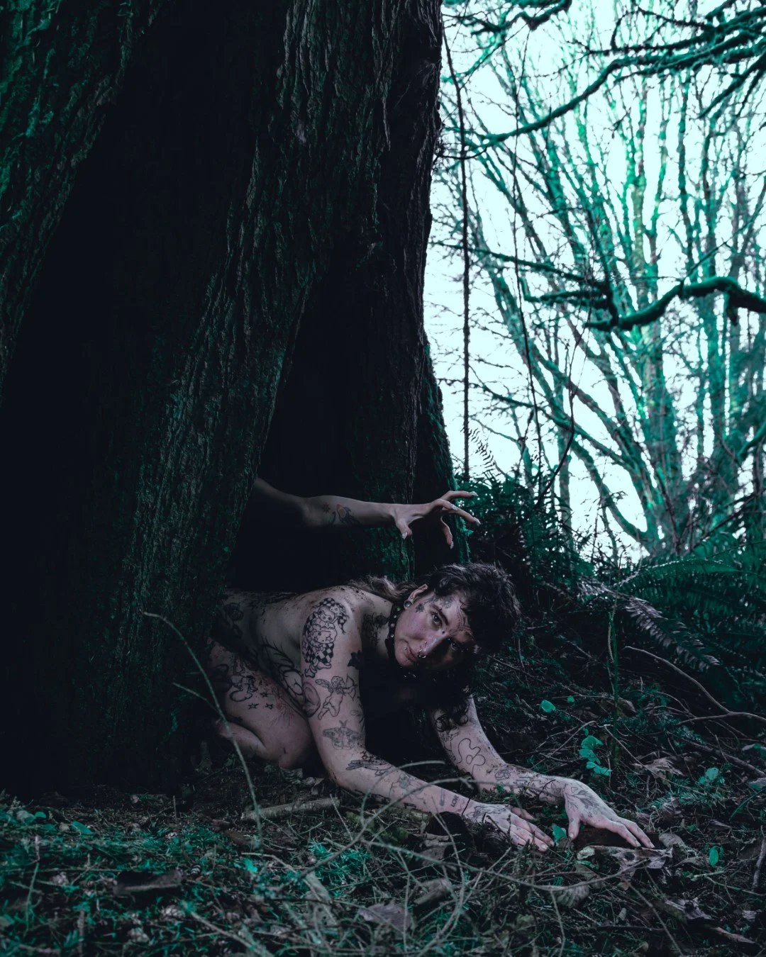 devil tree-20 (Large).JPG