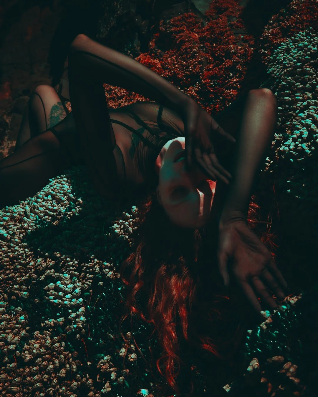 Squid beach-40 (Large).JPG