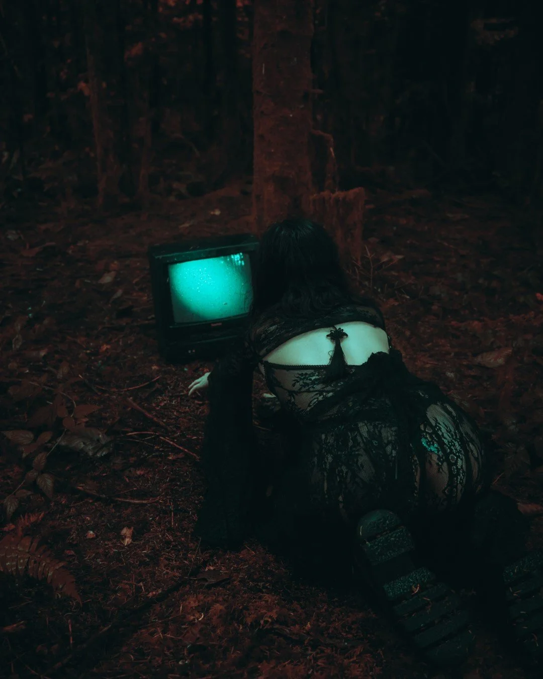 alexis tv-6 (Large).JPG