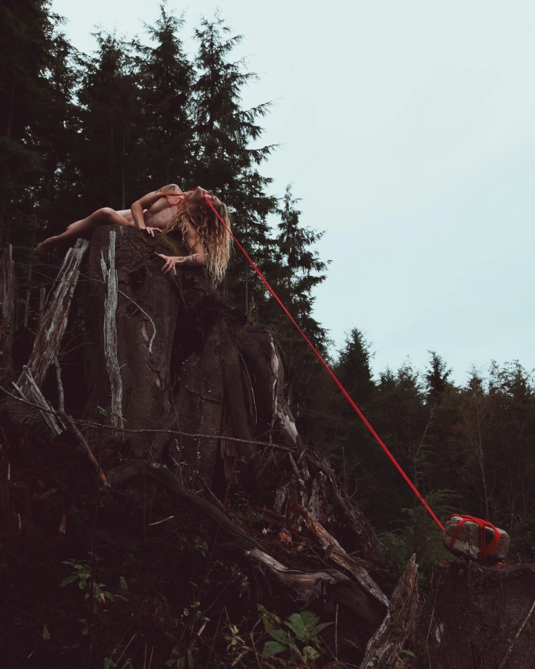 Burdened-19 (Large).JPG