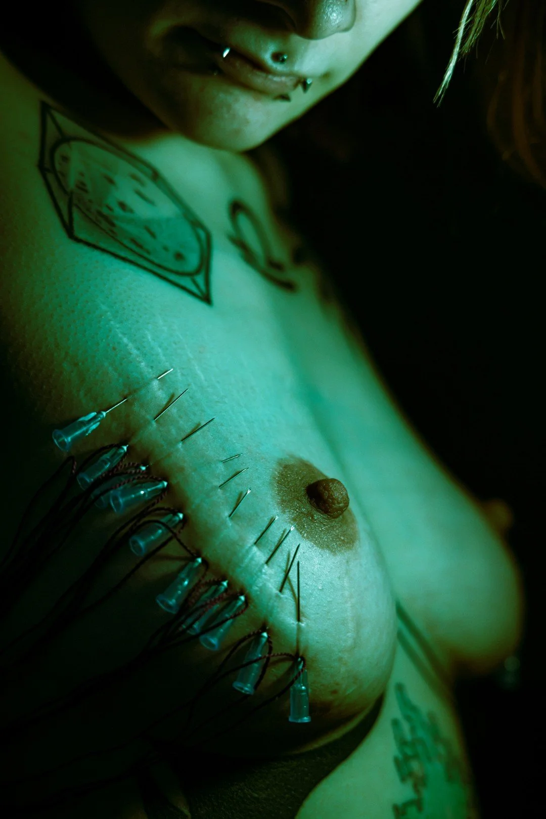 Sin needles-33 (Large).JPG