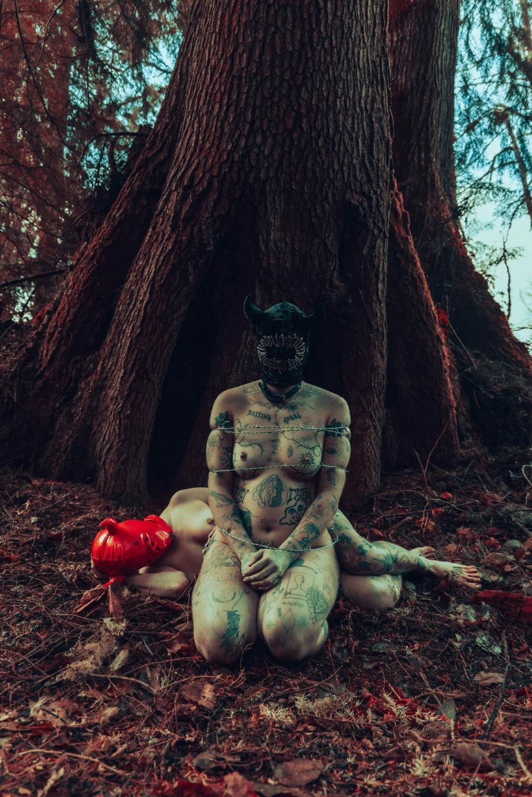 devil tree-40 (Large).JPG