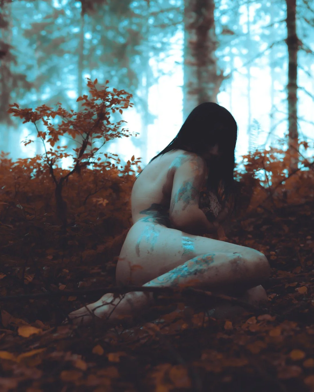 Zander wasp -18 (Large).JPG