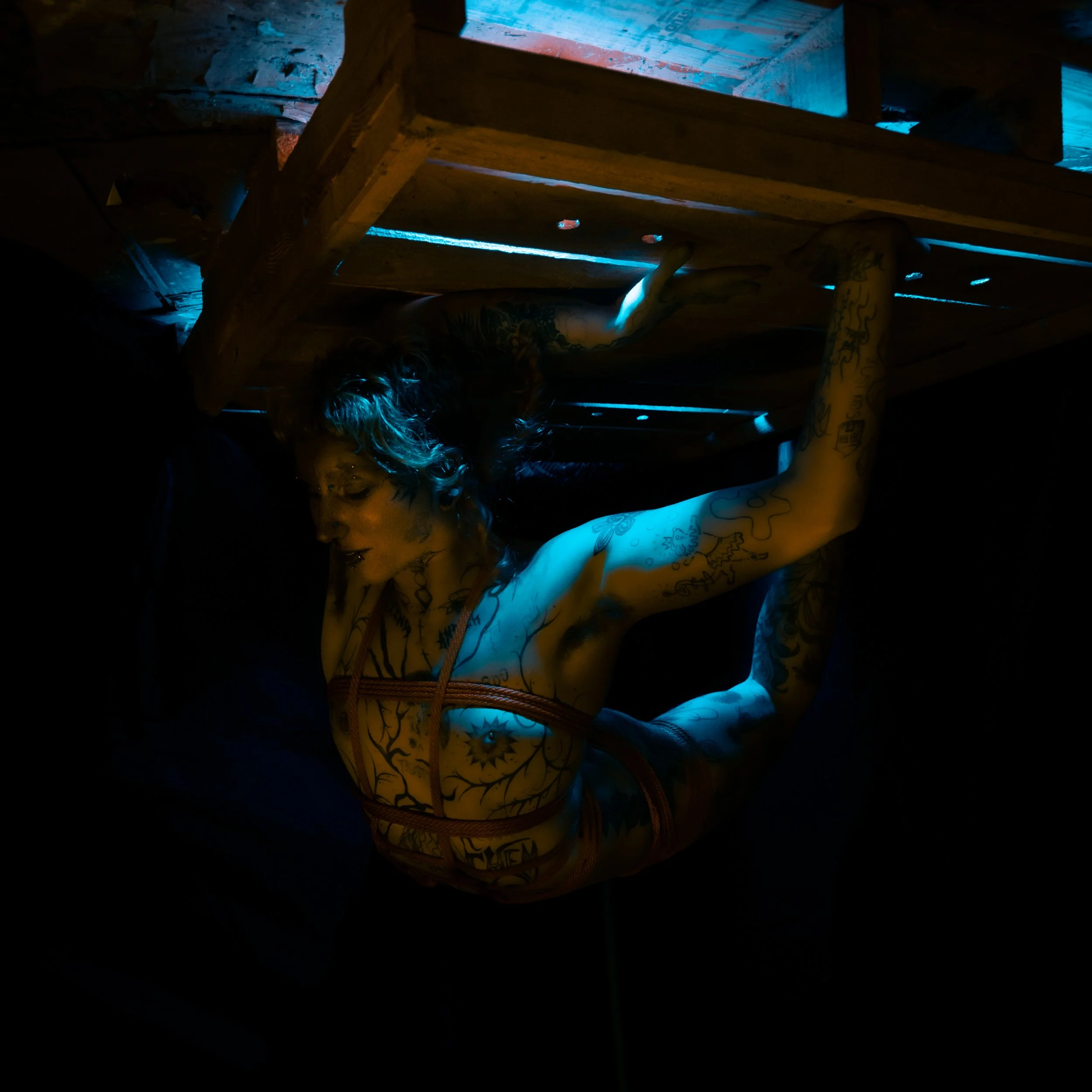 Alice rope and tubes-4.JPG