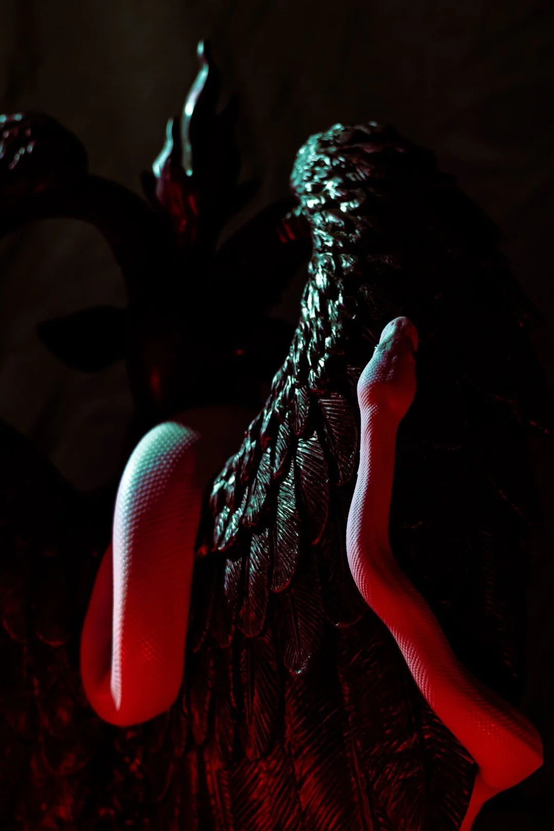 Nyx and Zuzu-13 (Large).JPG