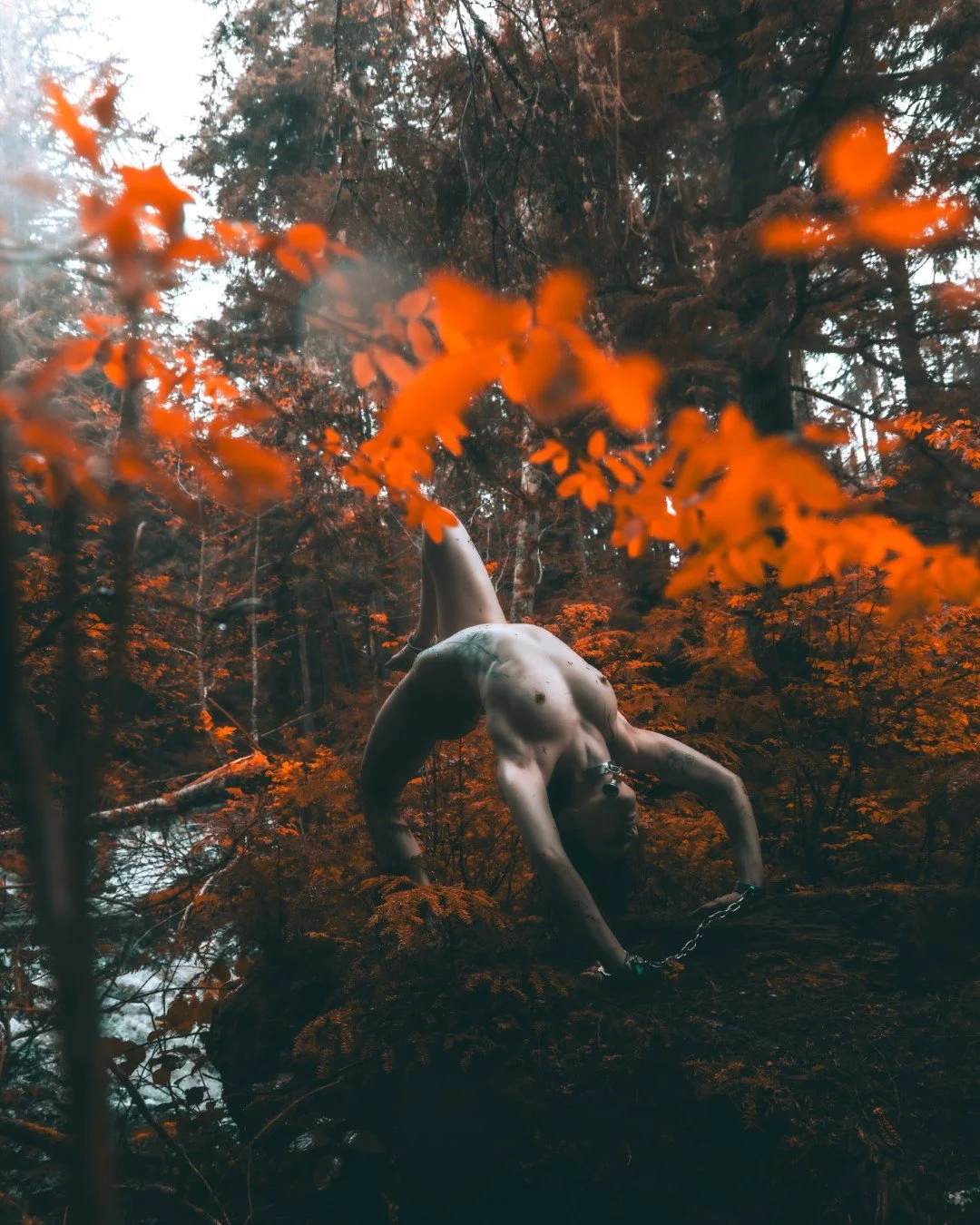 Cyan in chains-16 (Large).JPG