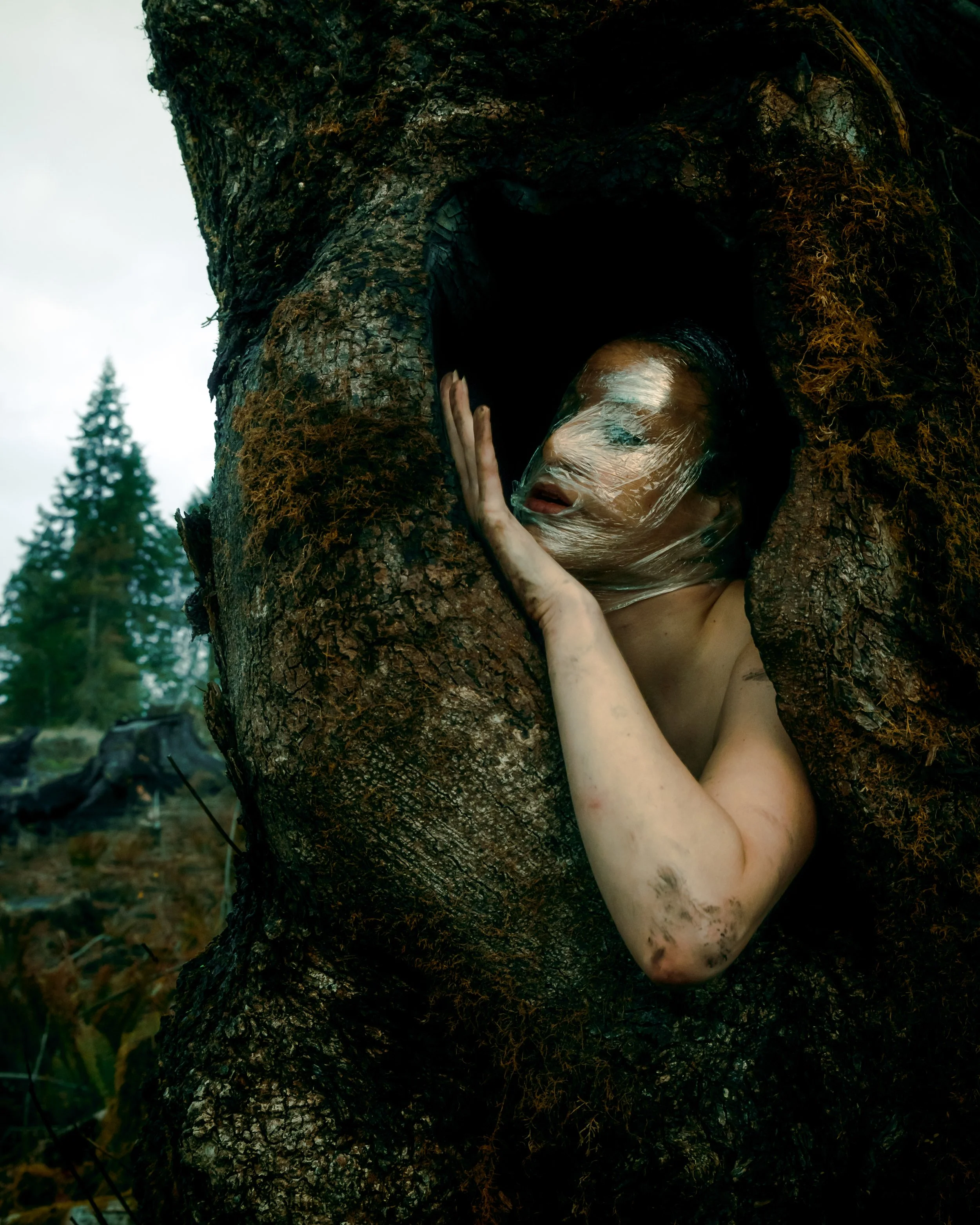 Saran Wrap Tree-21.jpg