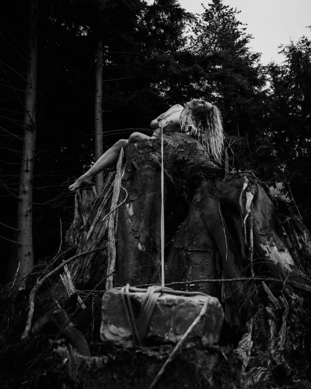 Burdened-21 (Large).JPG