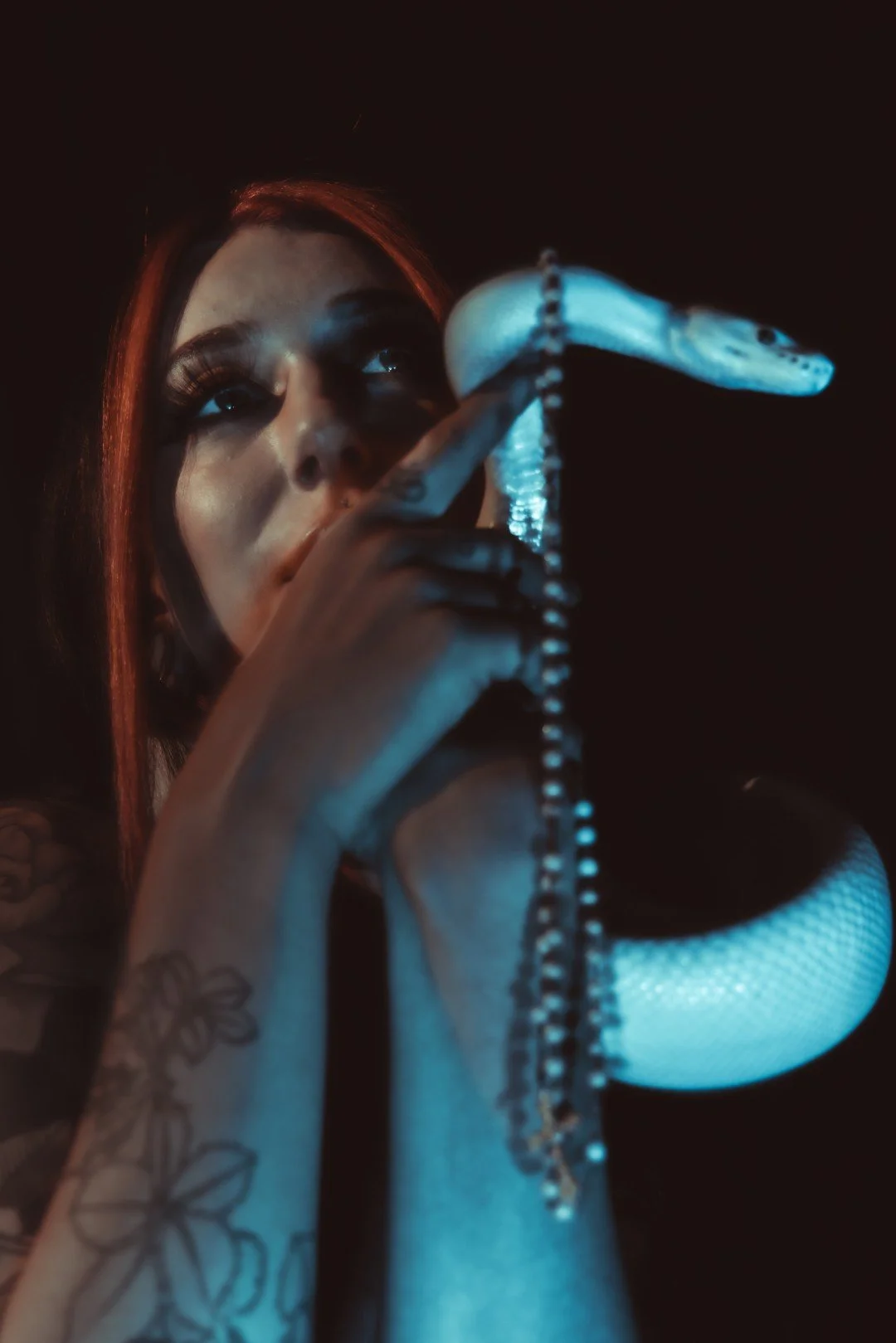 Nyx and Zuzu-40 (Large).JPG