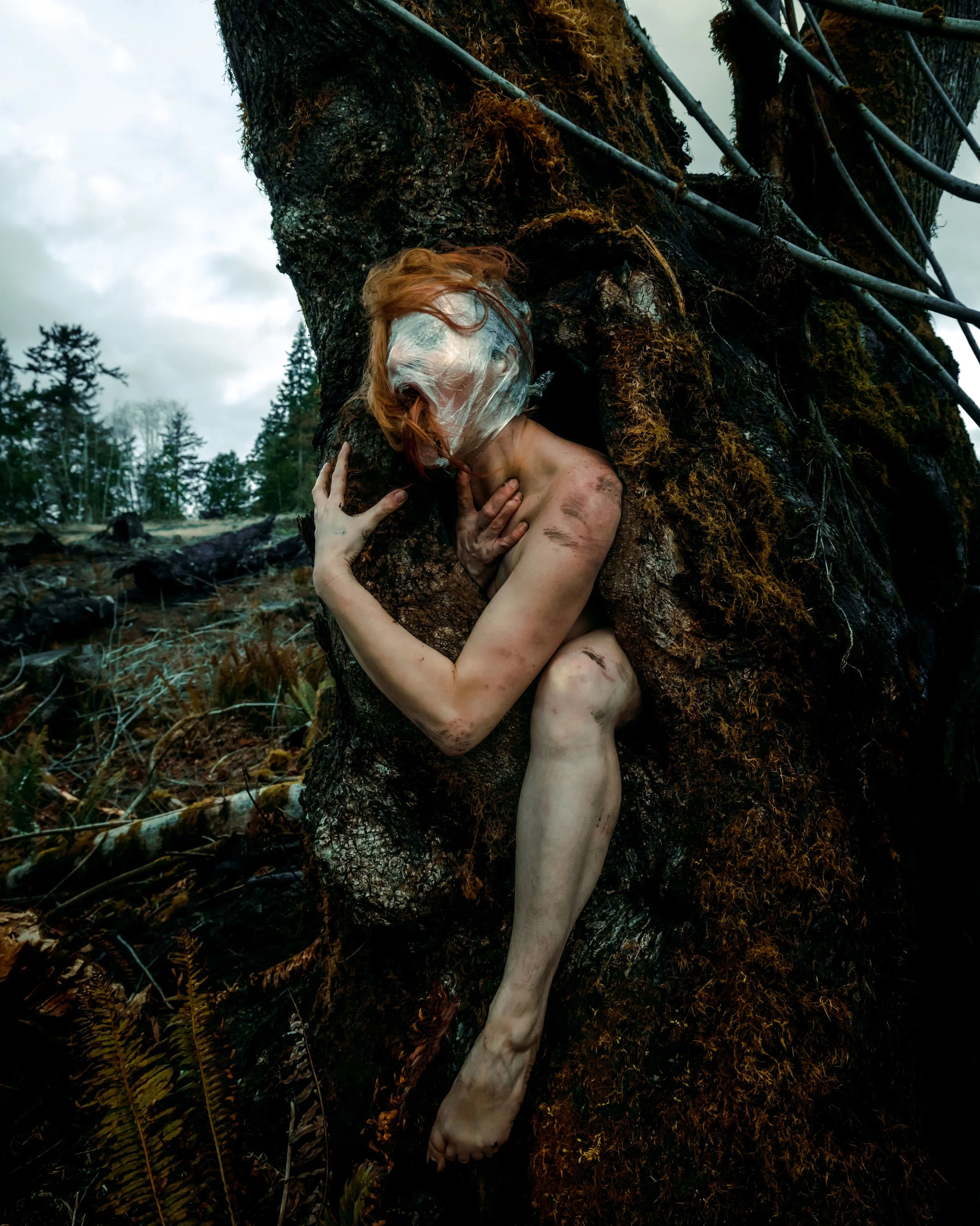 Saran Wrap Tree-29.jpg