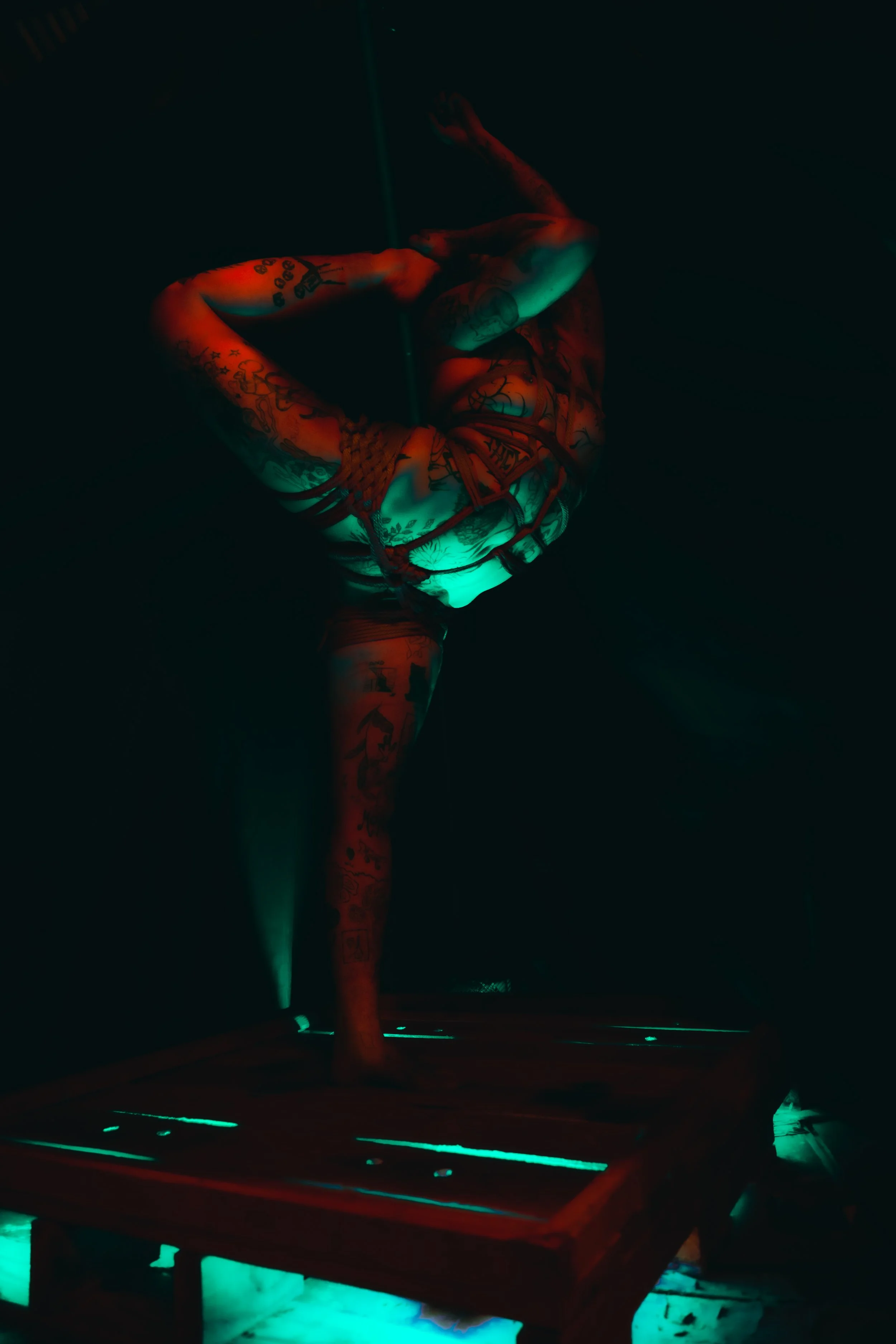 Alice rope and tubes-1.JPG