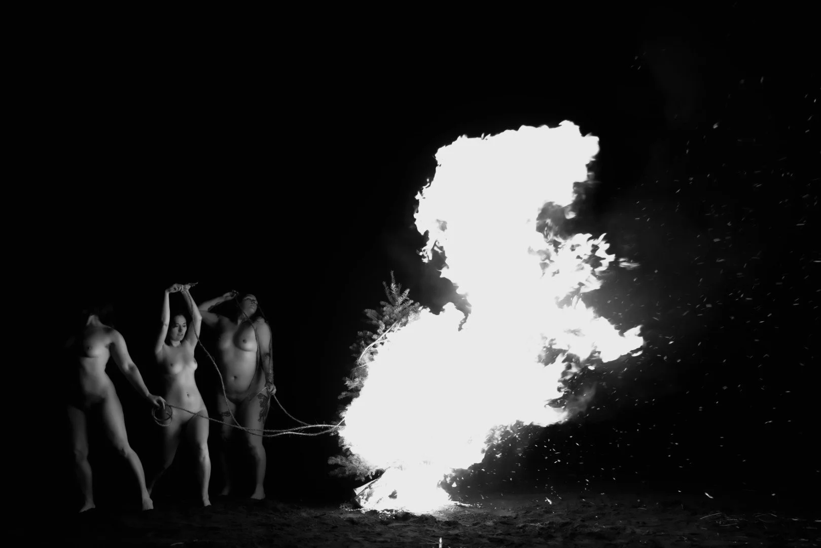 Beach Tree Fire-10 (Large).JPG