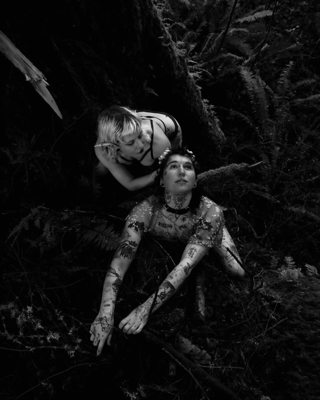 devil tree-7 (Large).JPG