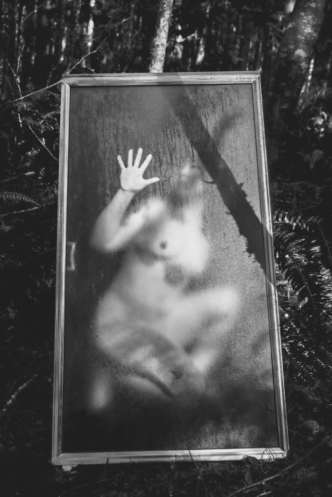 Forest Shower-30 (Large).JPG