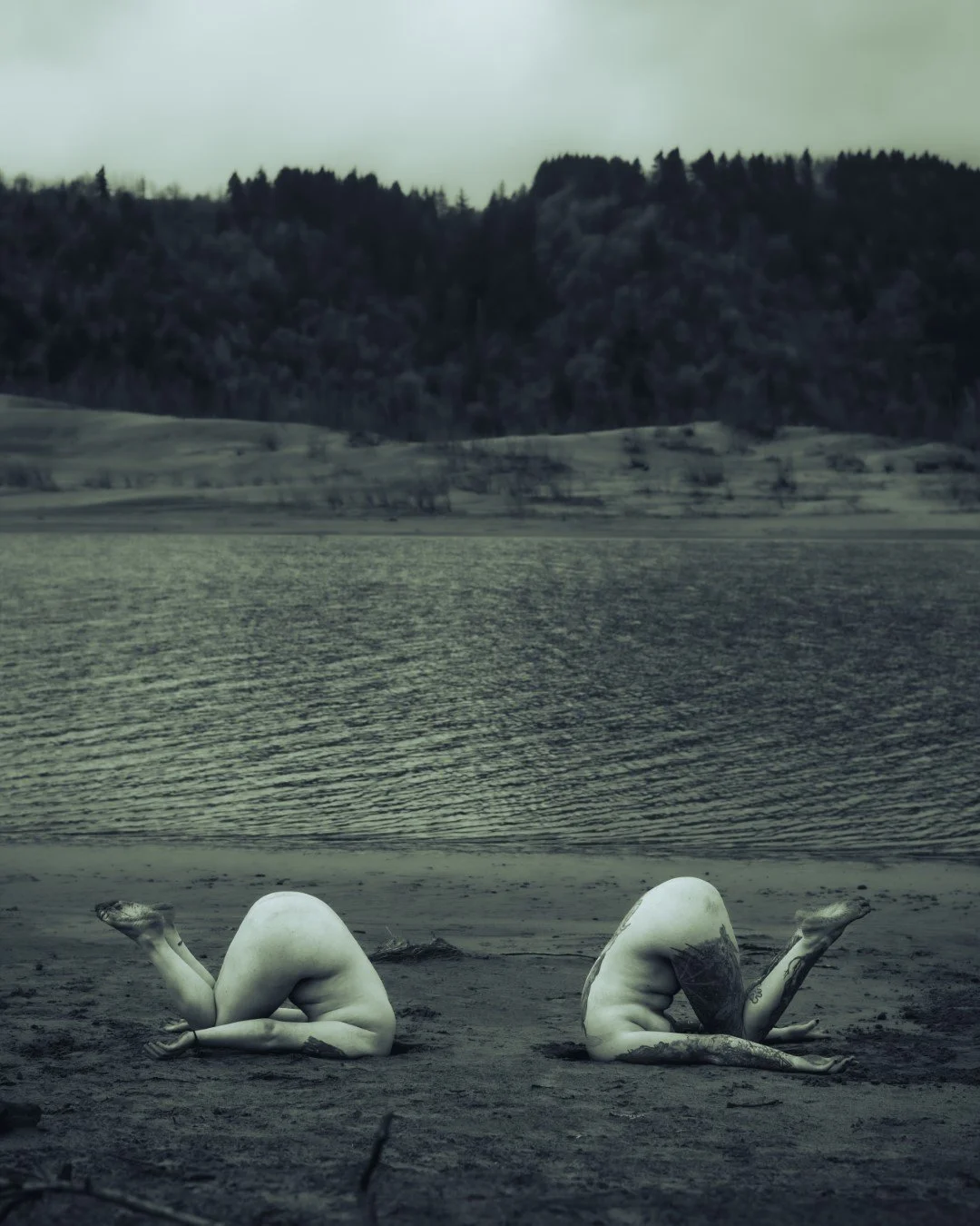 Rooster rock-76 (Large).JPG