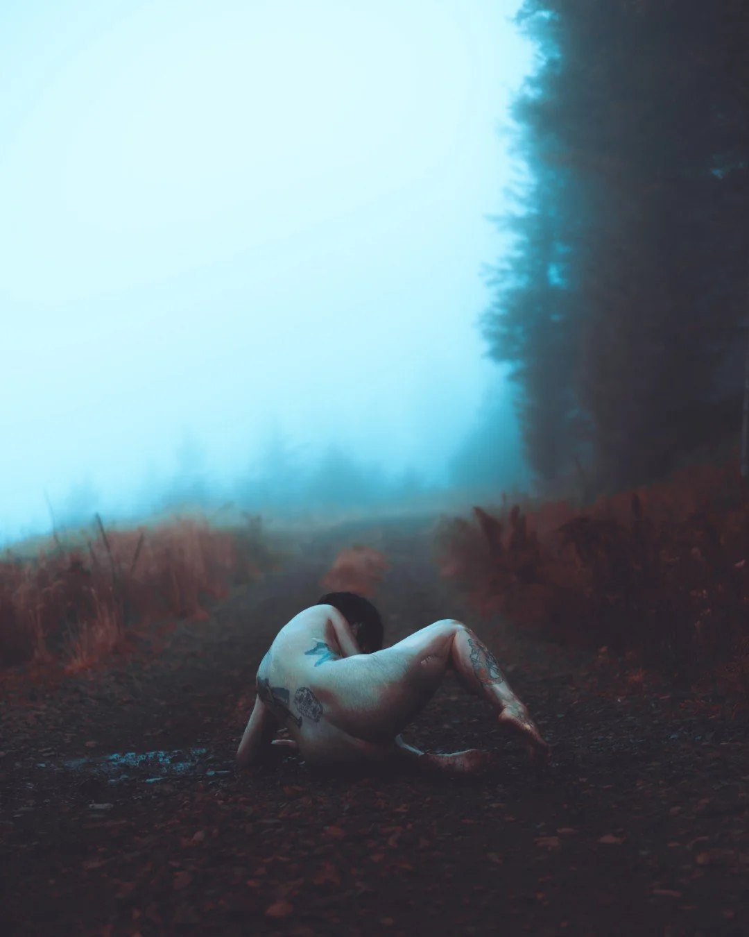 Zander wasp -46 (Large).JPG