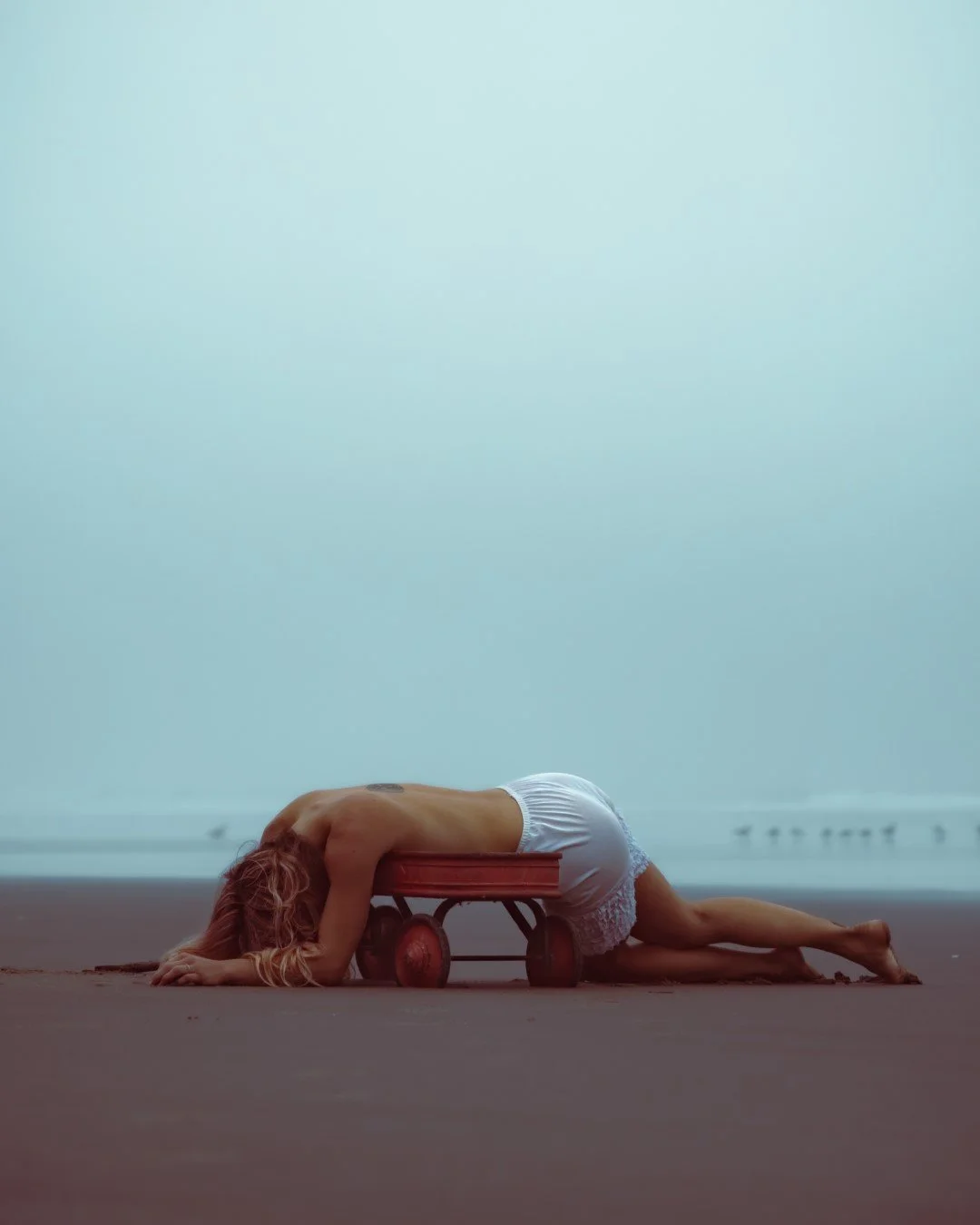 wagon-33 (Large).JPG