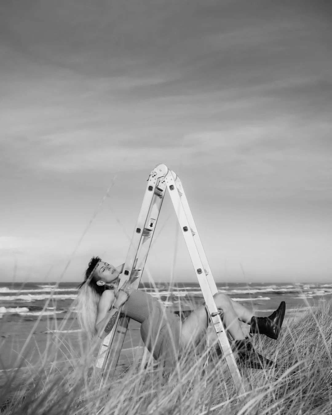 ladder-19 (Large).JPG