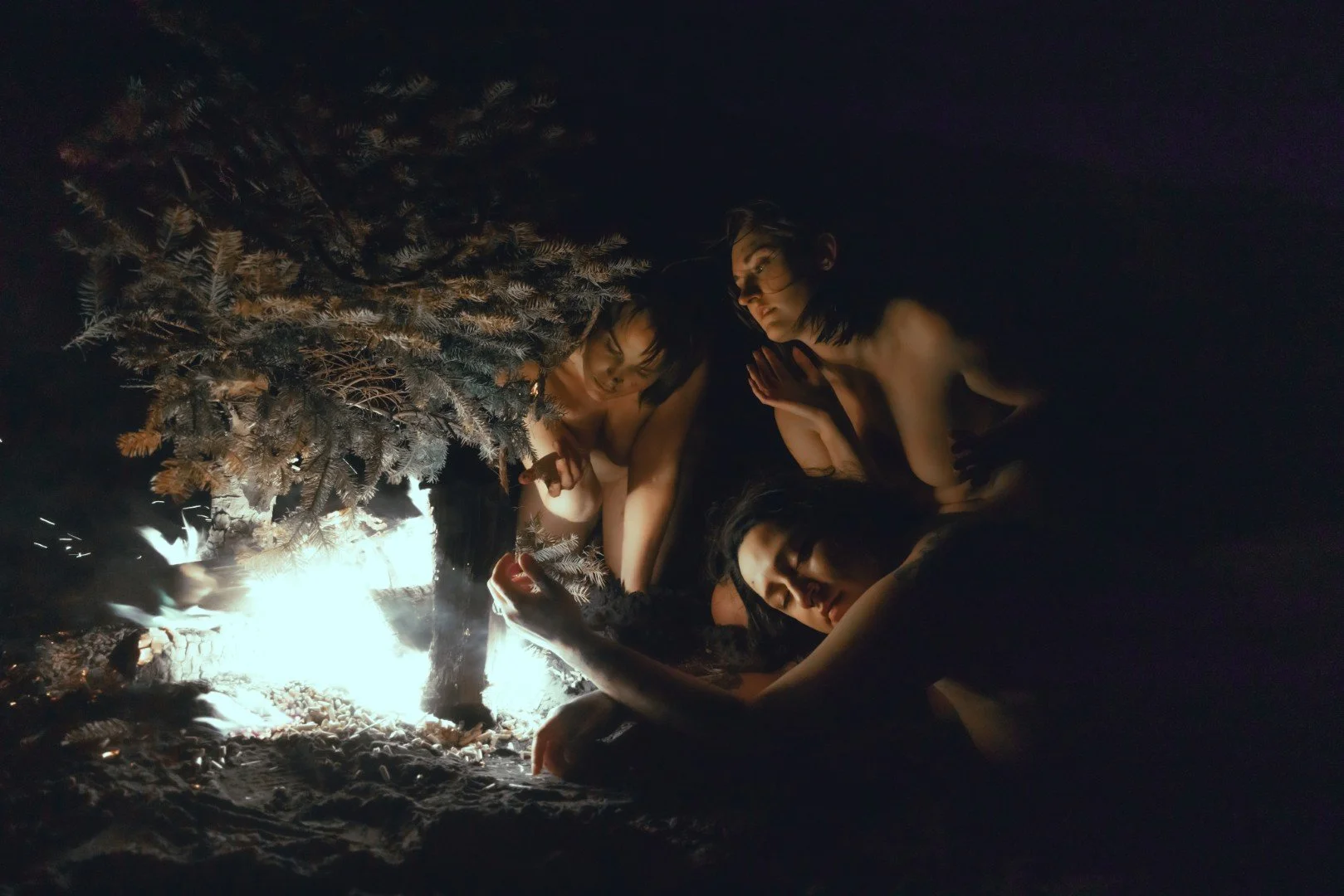 Beach Tree Fire-60 (Large).JPG