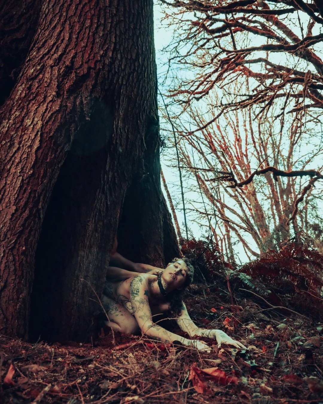 devil tree-18 (Large).JPG