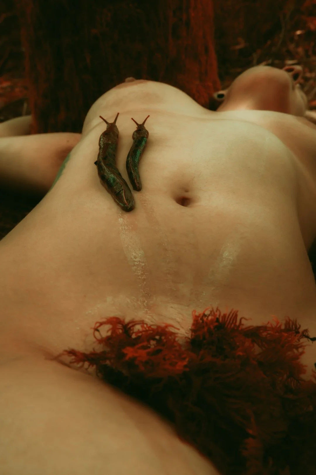 Slug scapes-22 (Large).JPG