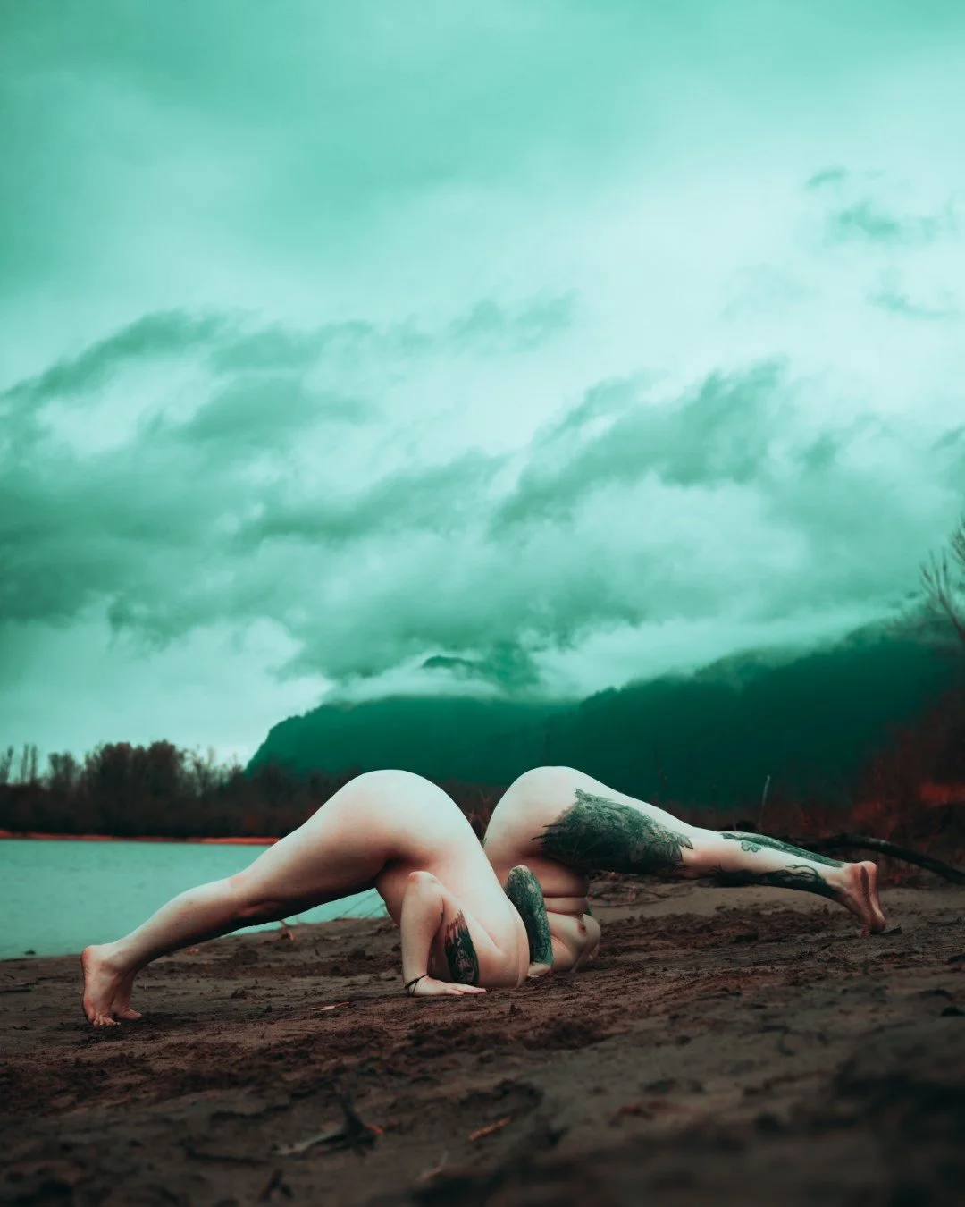 Rooster rock-72 (Large).JPG