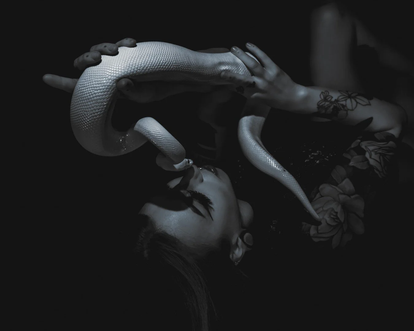 Nyx and Zuzu-18 (Large).JPG