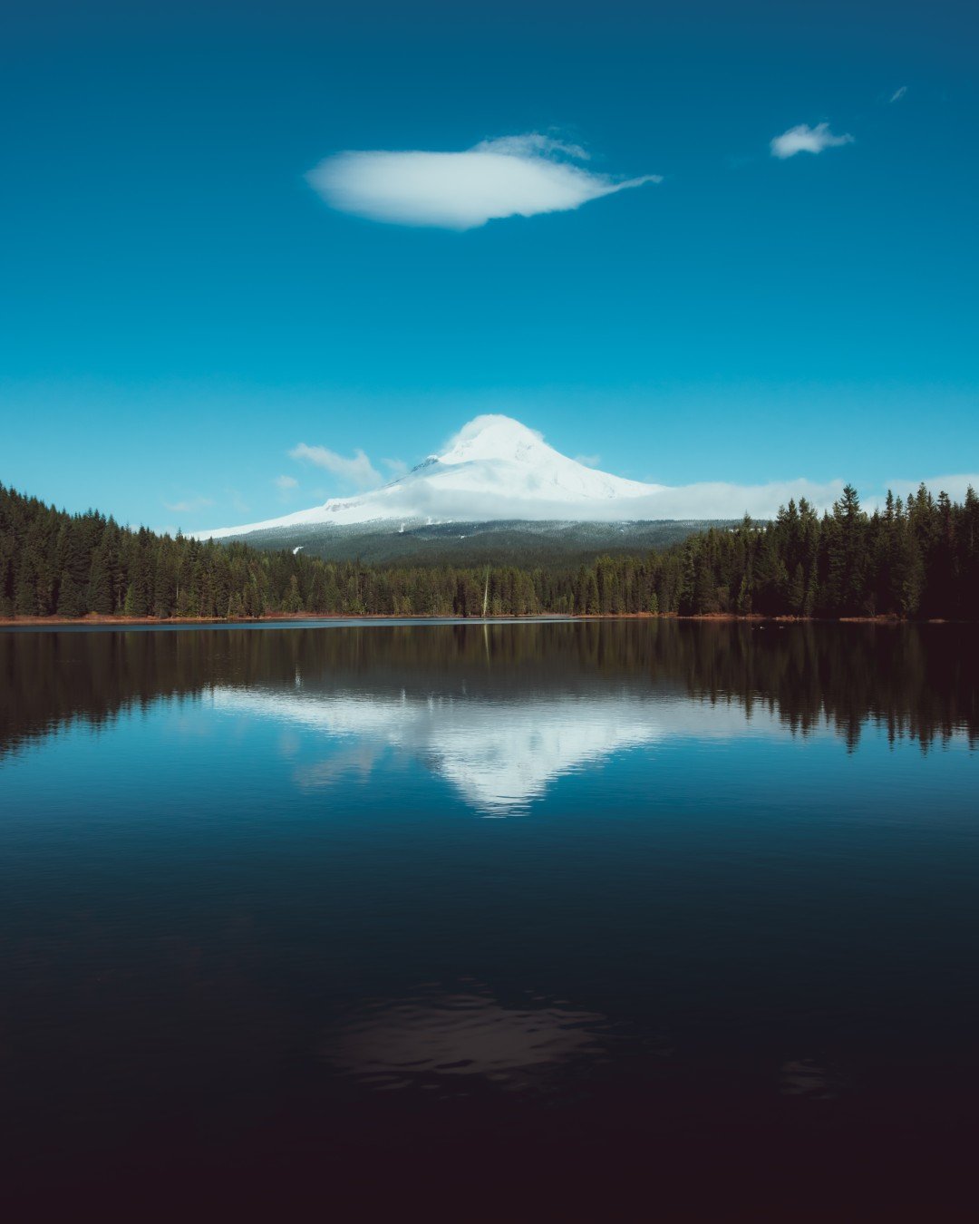 mt hood -23 (Large).JPG