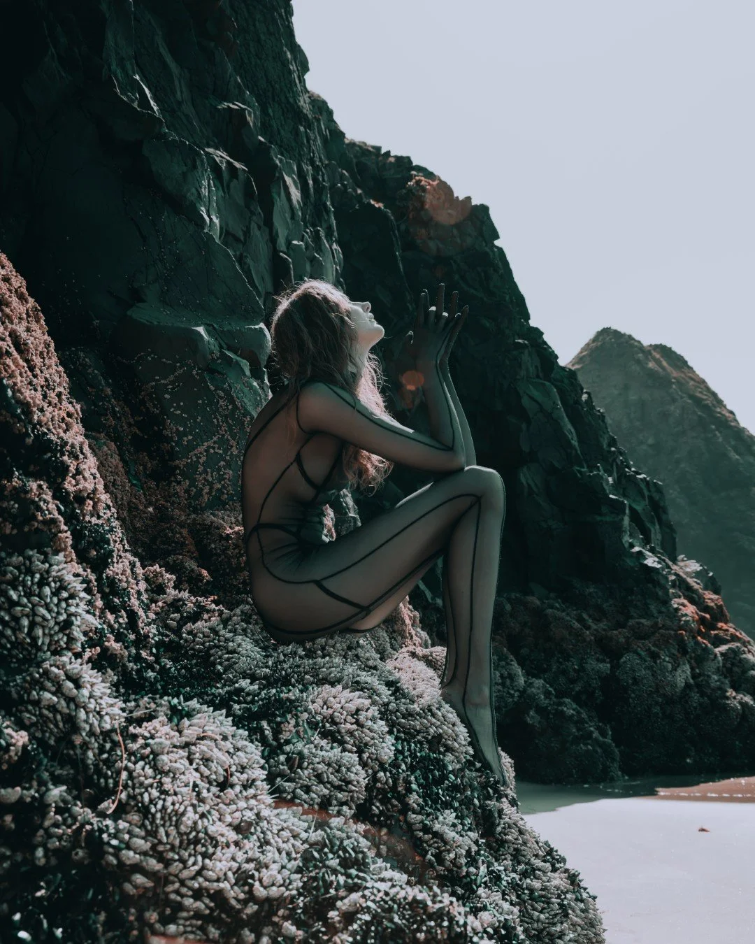 Squid beach-33 (Large).JPG