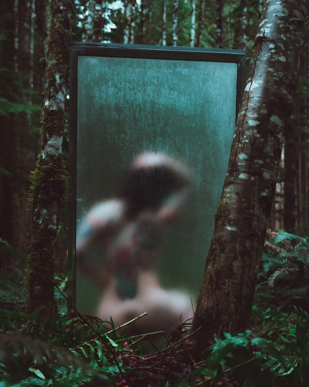 Forest Shower-12 (Large).JPG