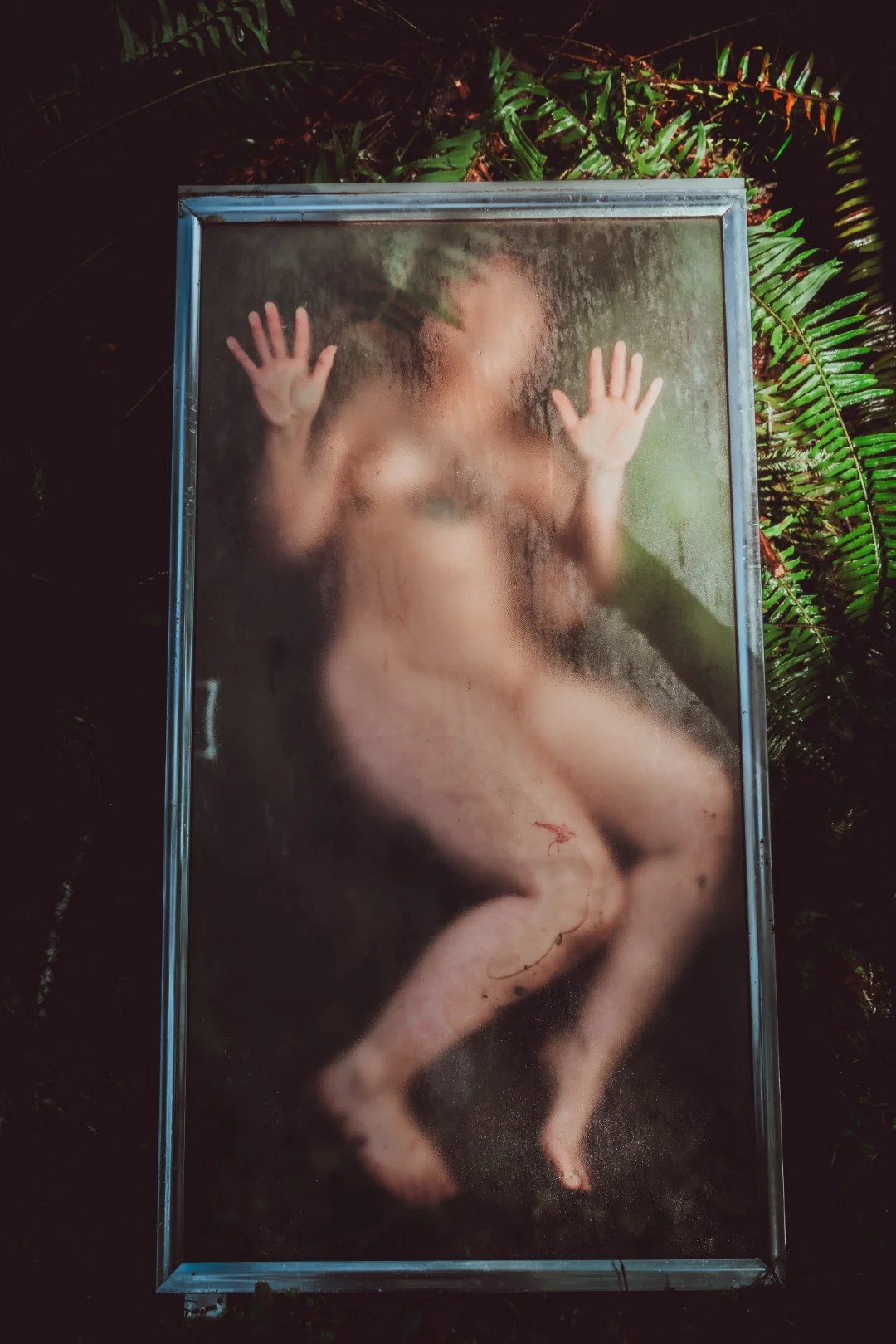 Forest Shower-34 (Large).JPG