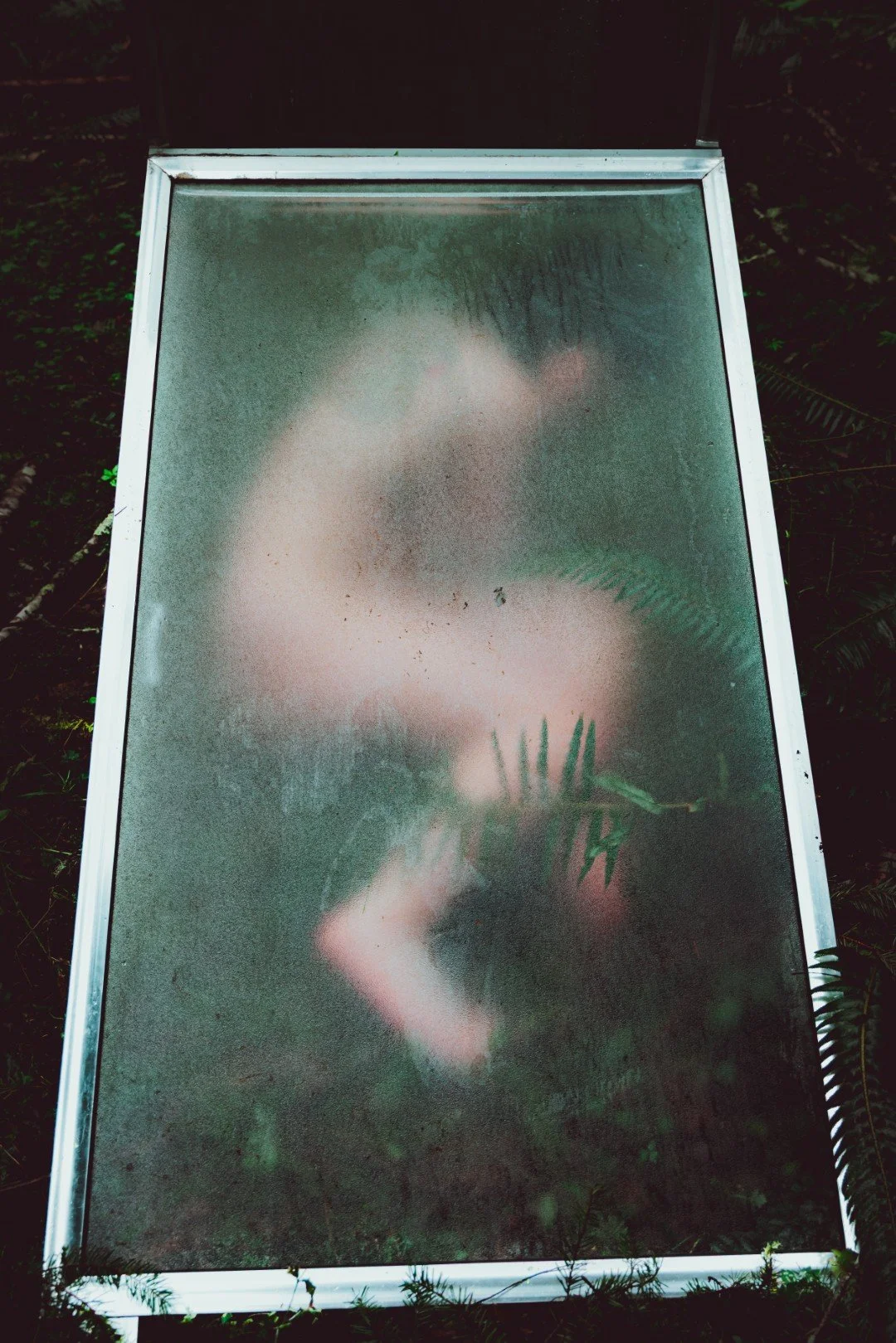 Forest Shower-45 (Large).JPG