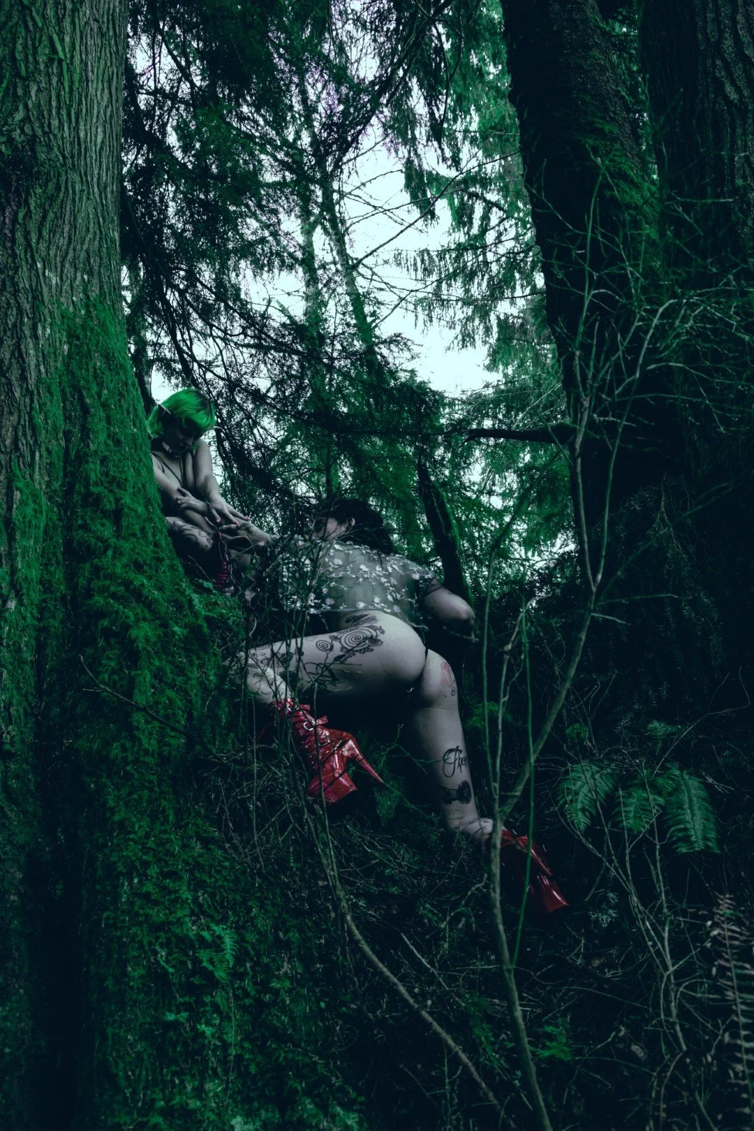 devil tree-4 (Large).JPG