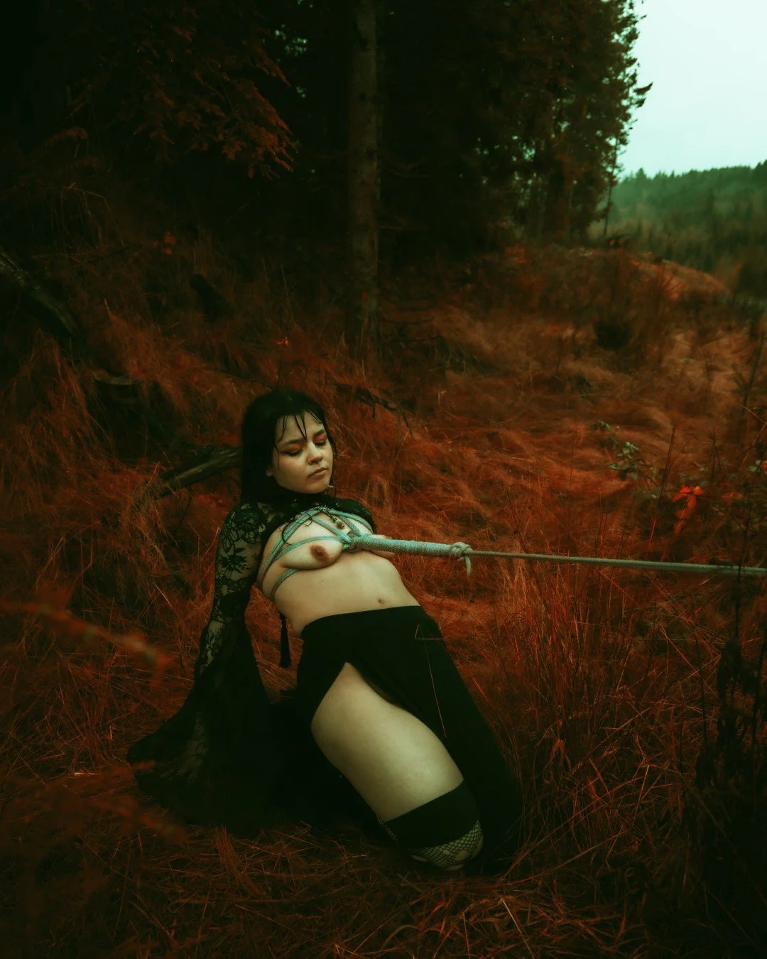 alexis tv-26 (Large).JPG