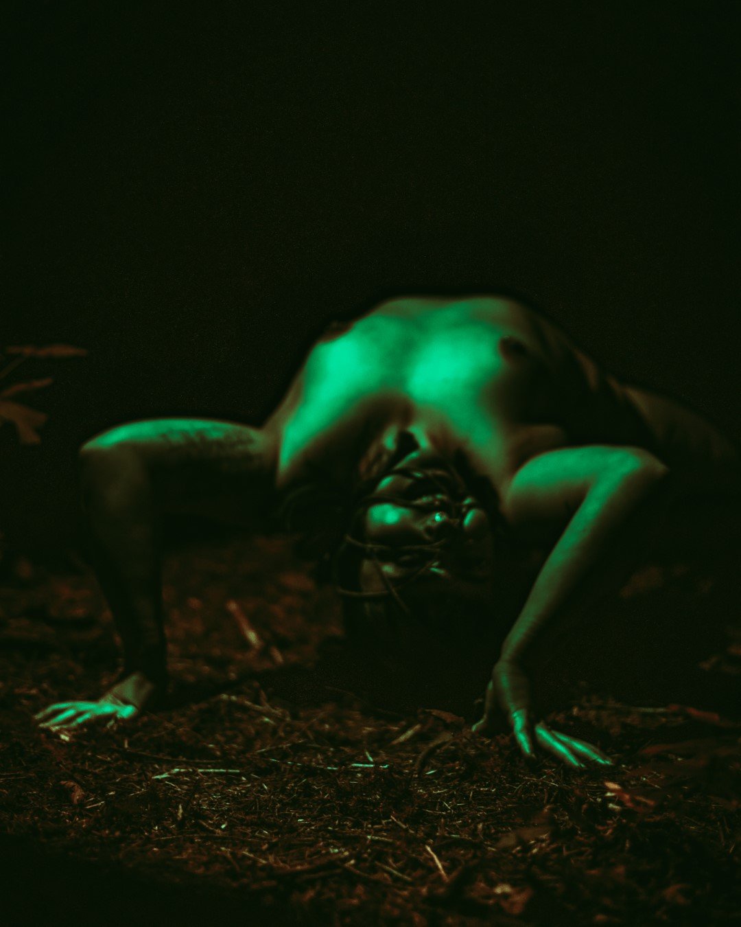 the Offering-24 (Large).JPG