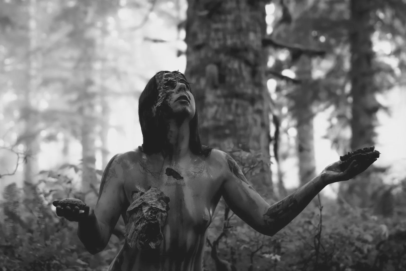 Zander wasp -17 (Large).JPG