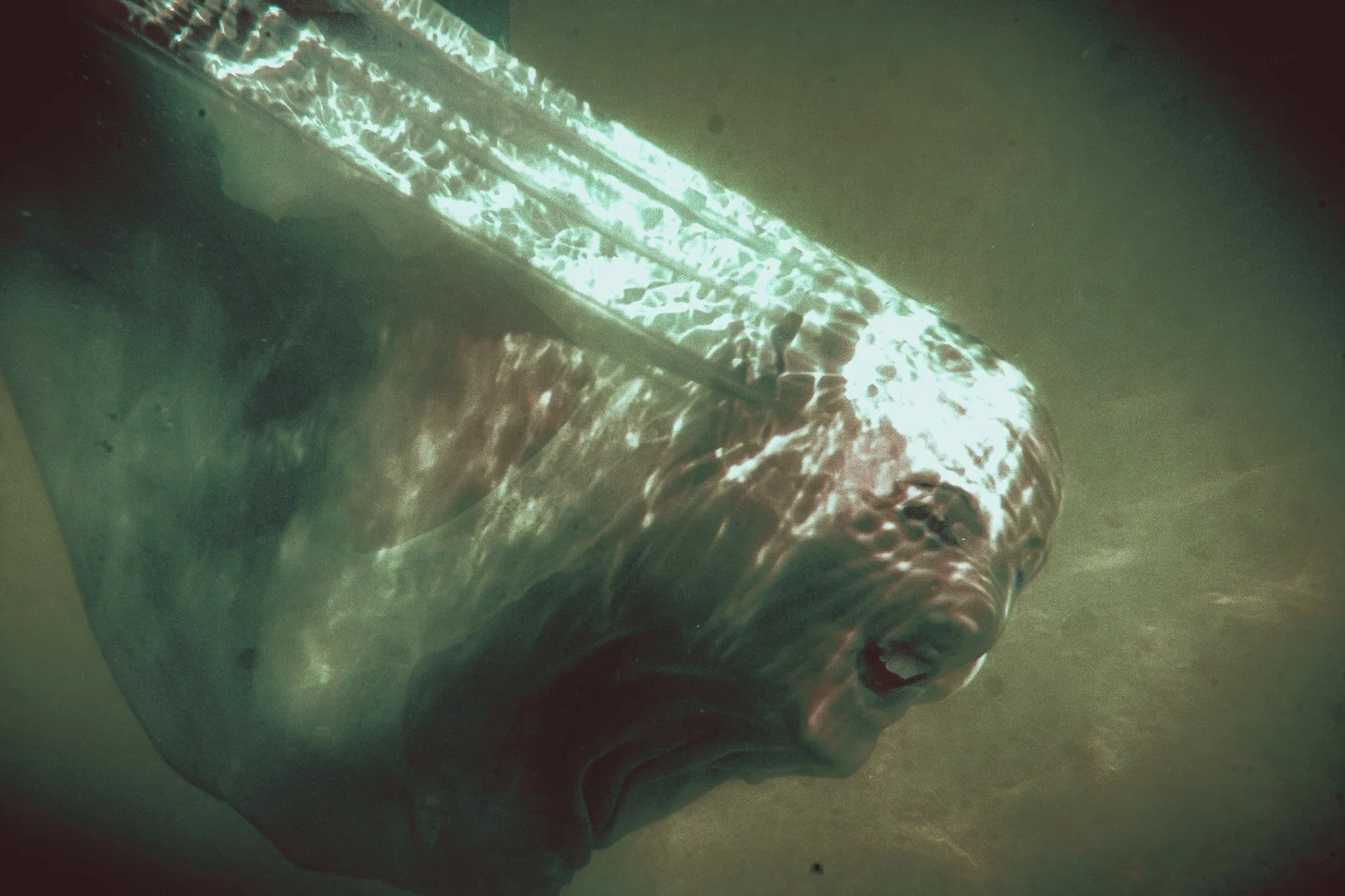 oct 3 pool-126 (Large).JPG