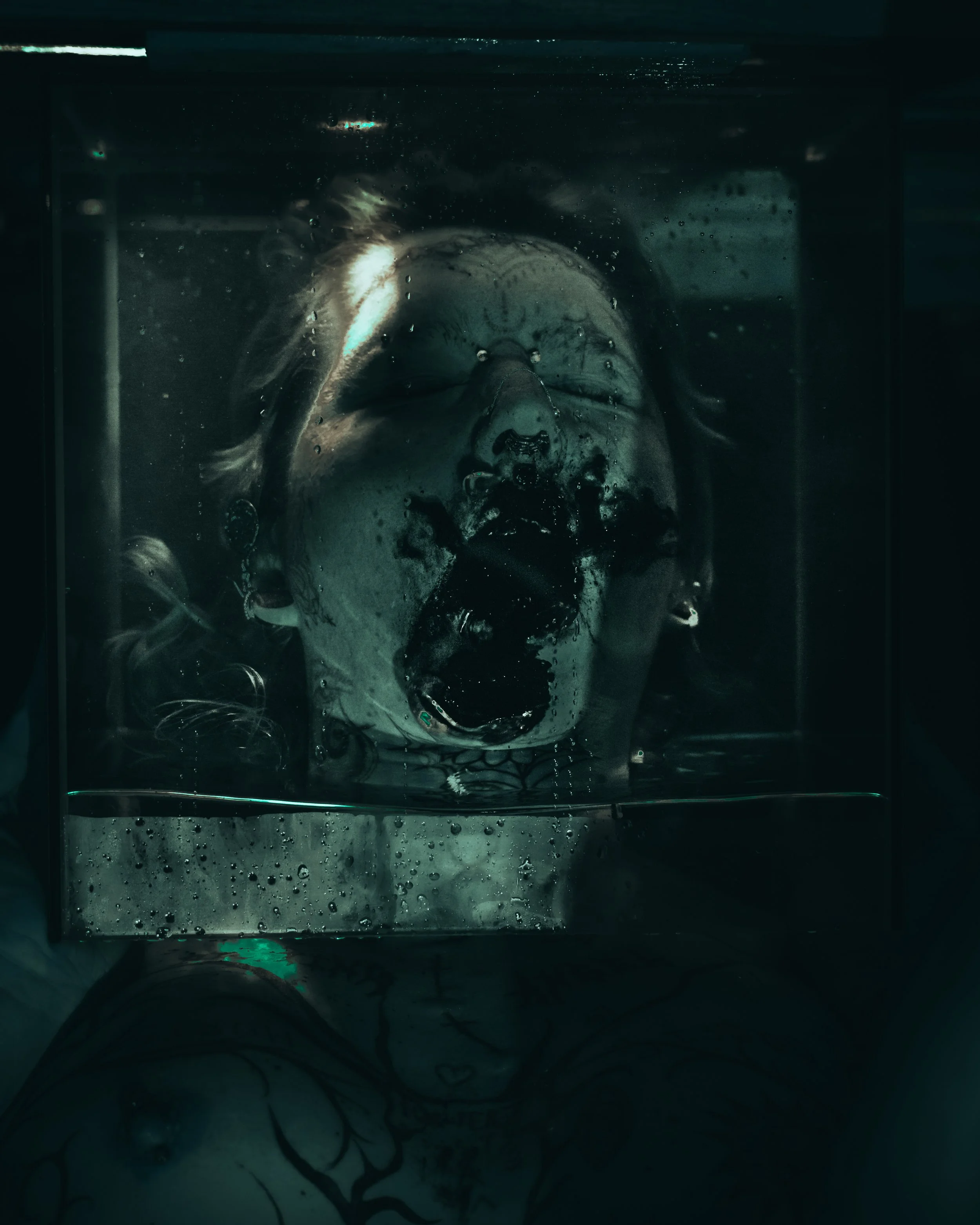 Alice rope and tubes-30.JPG